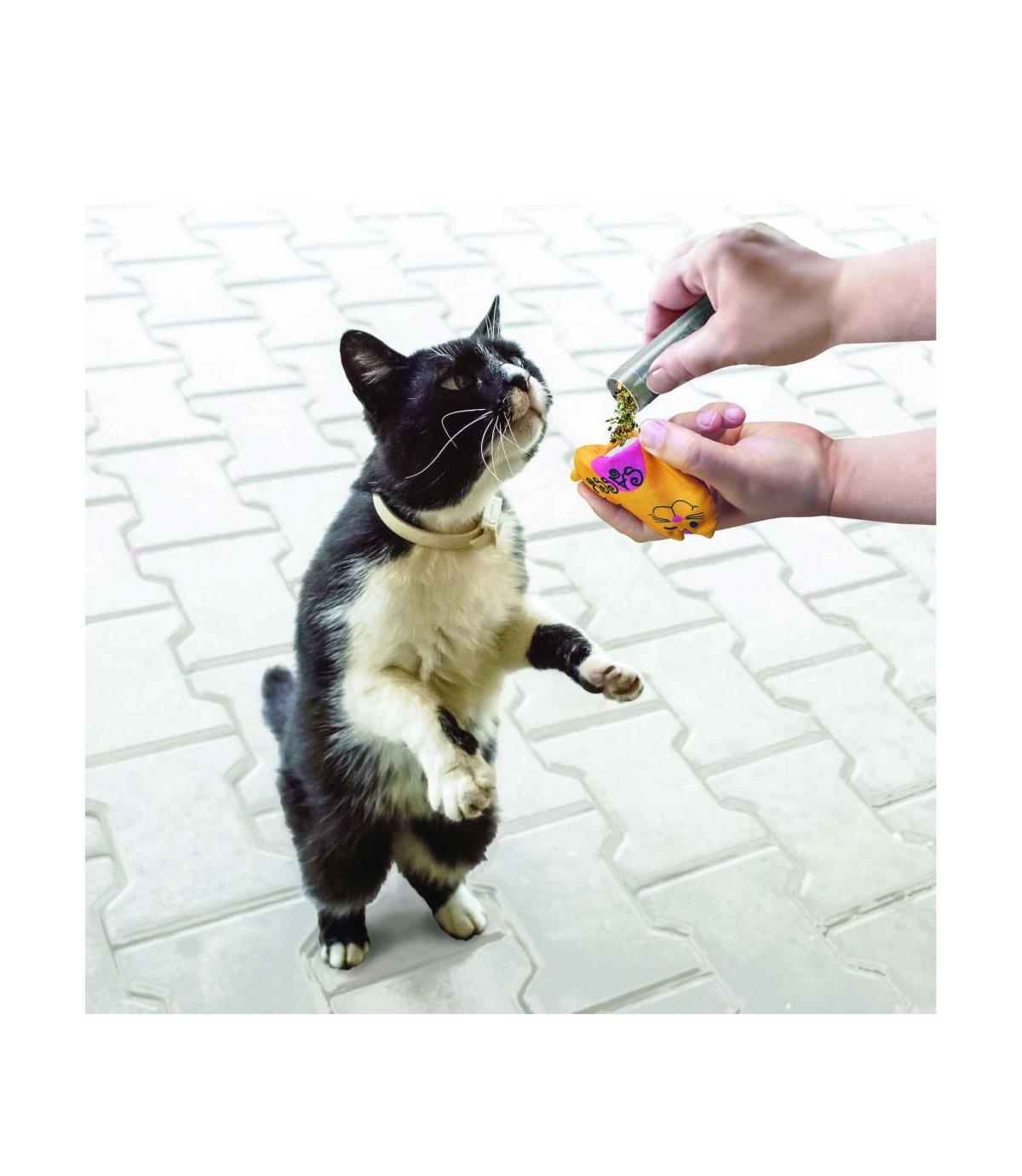 Kong Refillables Catnip Tubes 3x9g