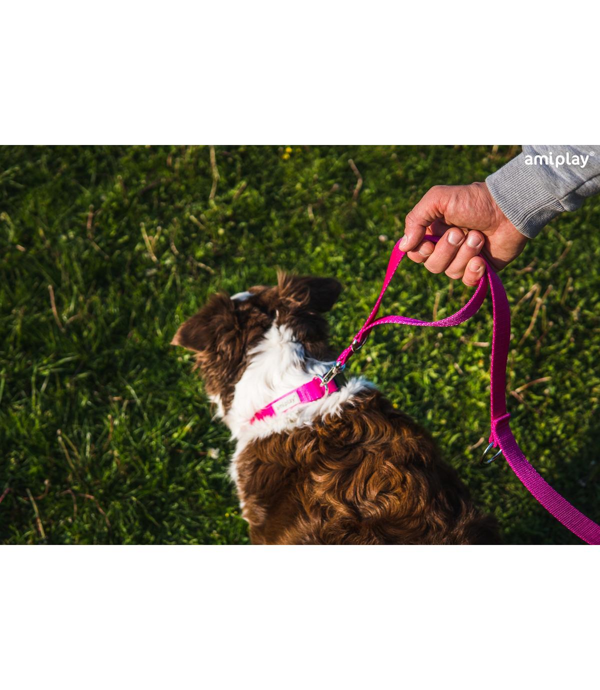 Smycz regulowana 7 in 1 Samba XL