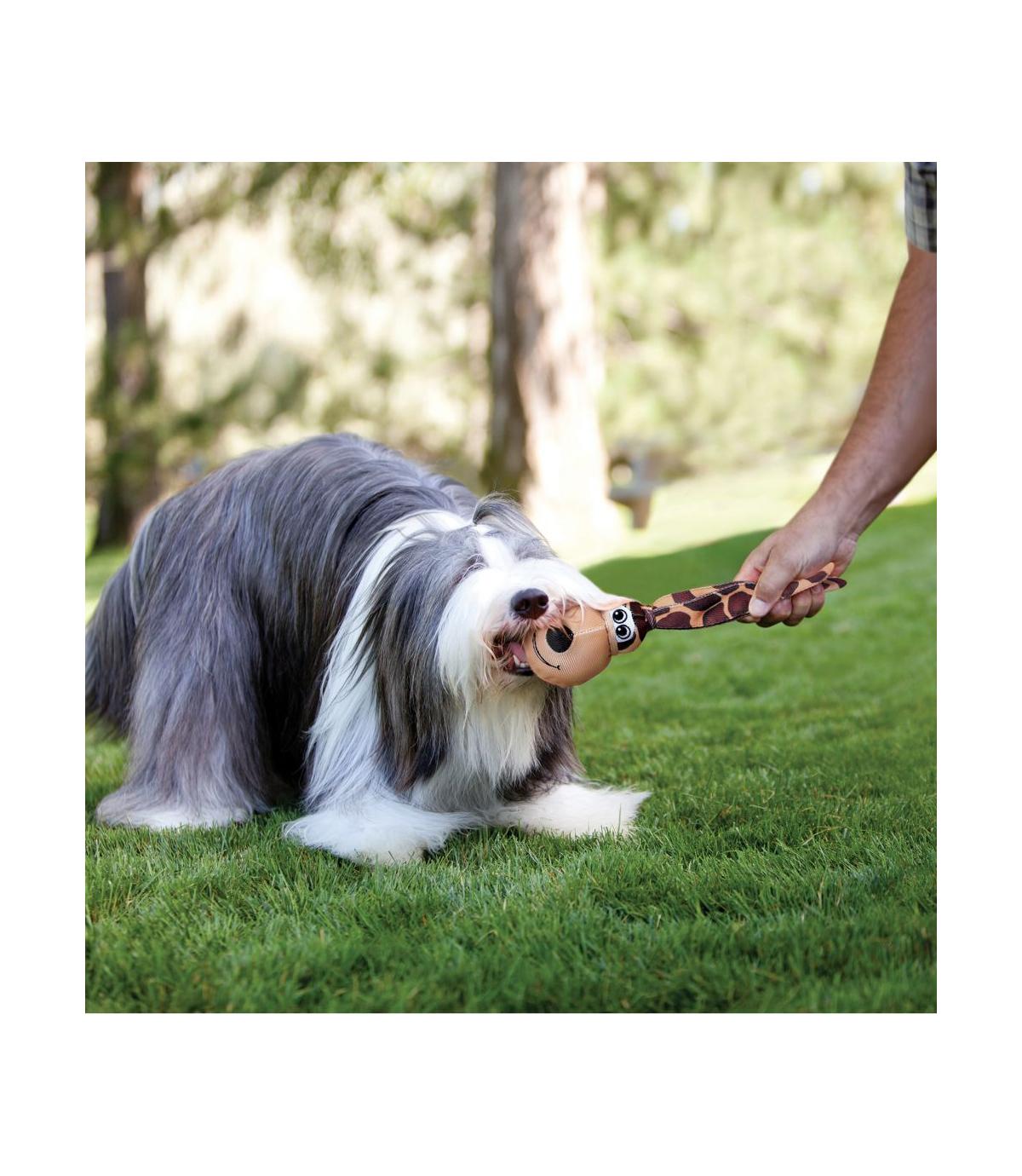 Wubba Floppy Ears S Kong