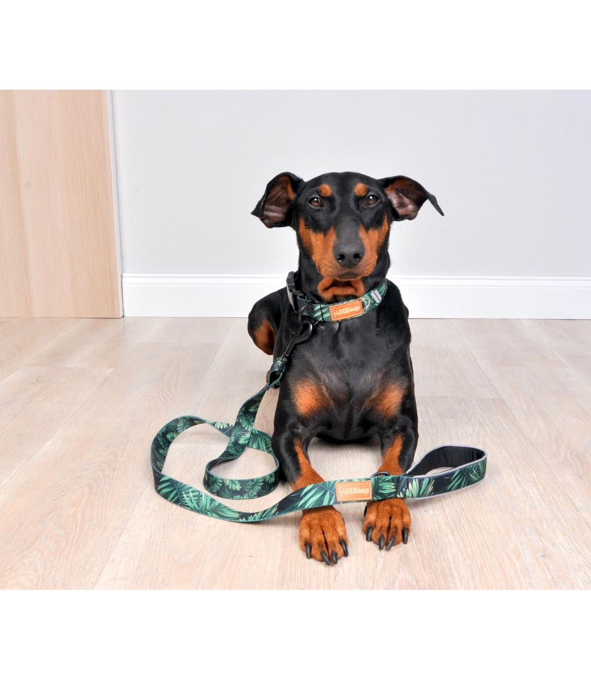 Obroża Color Forest XL