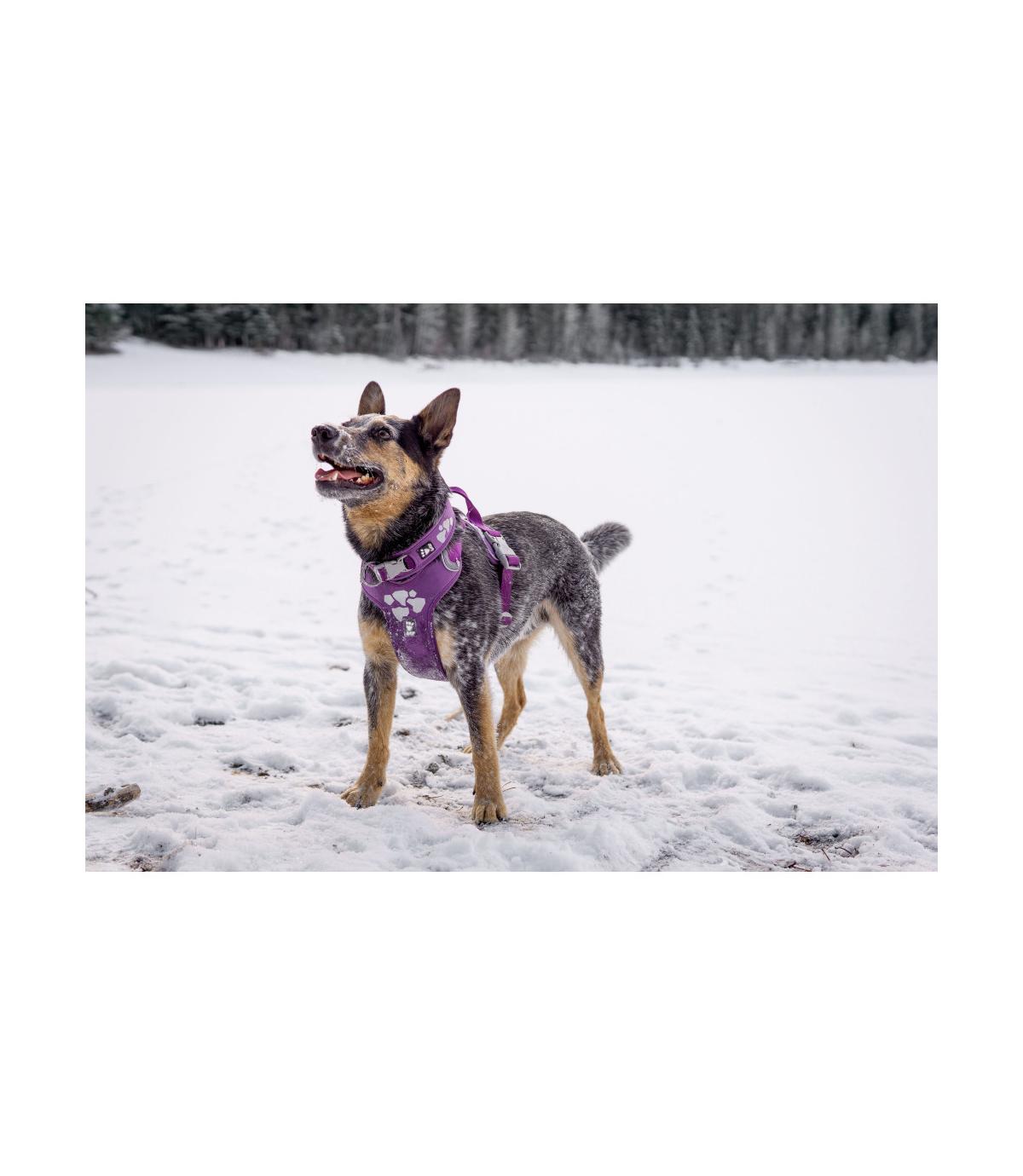 Szelki Hurtta Weekend Warrior Harness 45-60cm