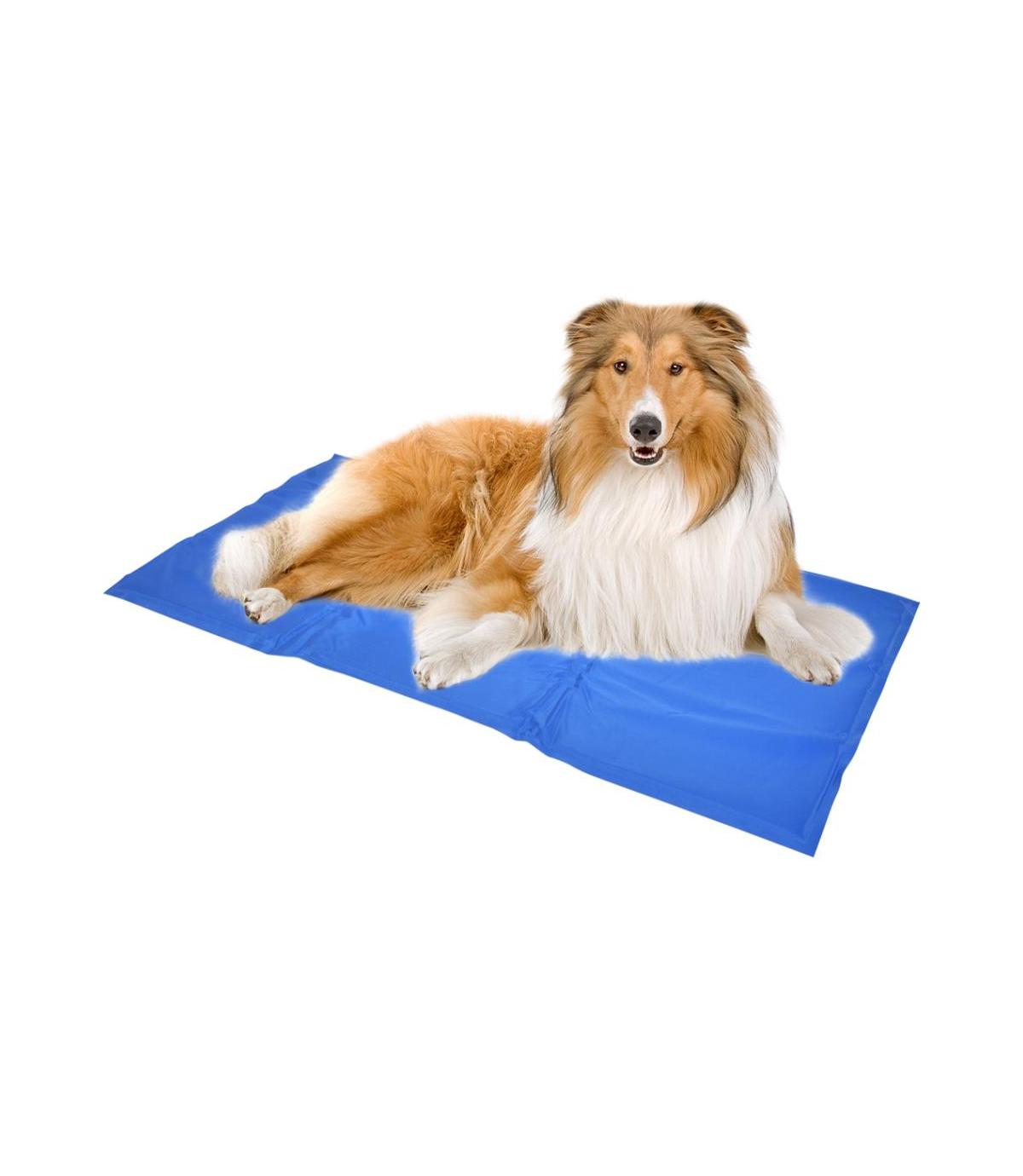 Mata chłodząca 65x50 cm