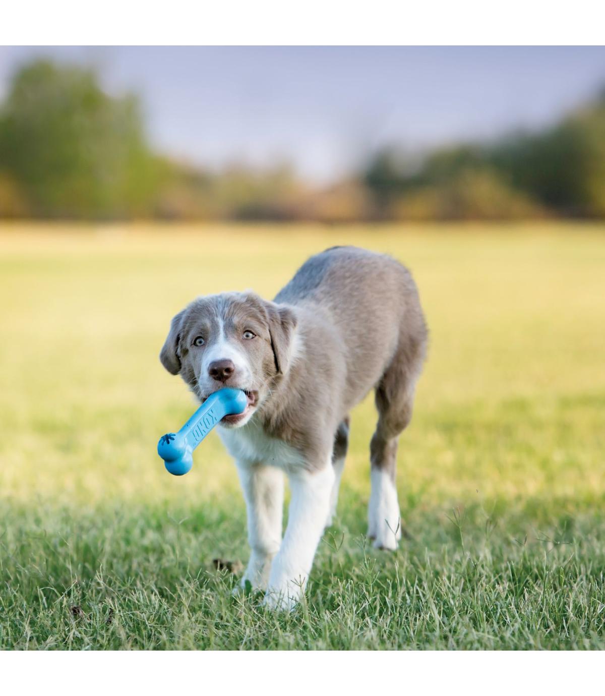 Puppy Goodie Bone S Kong