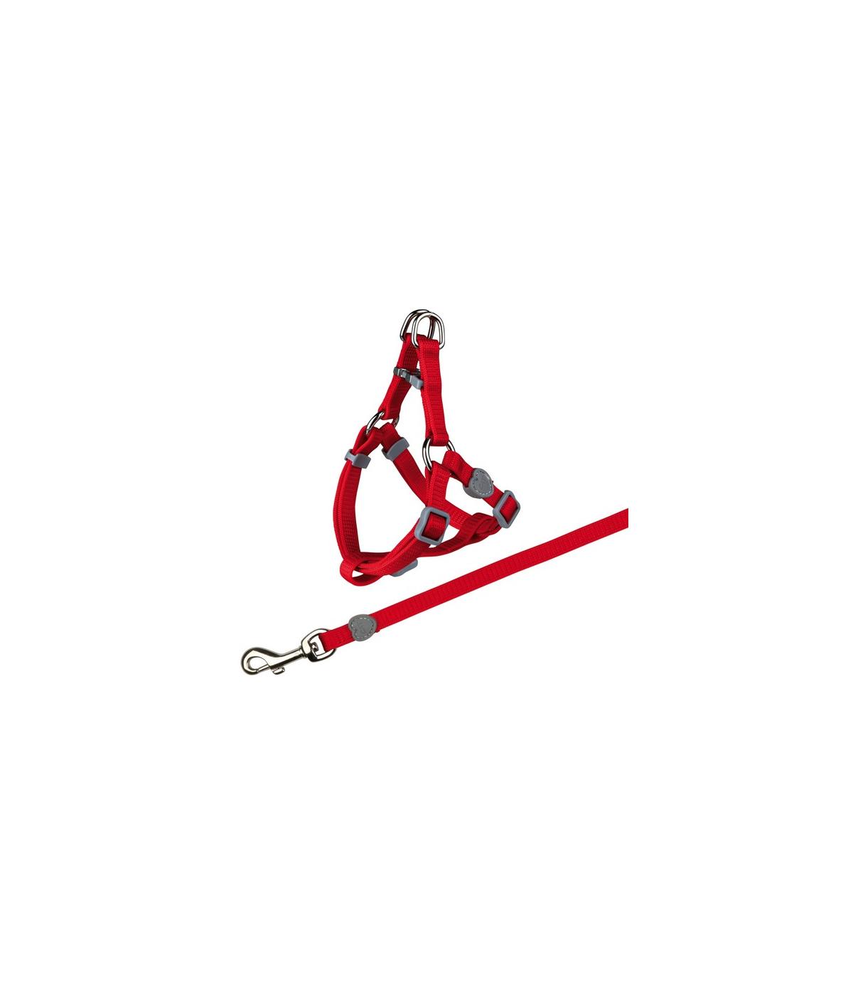 Komplet dla kota - 26-37cm/10mm