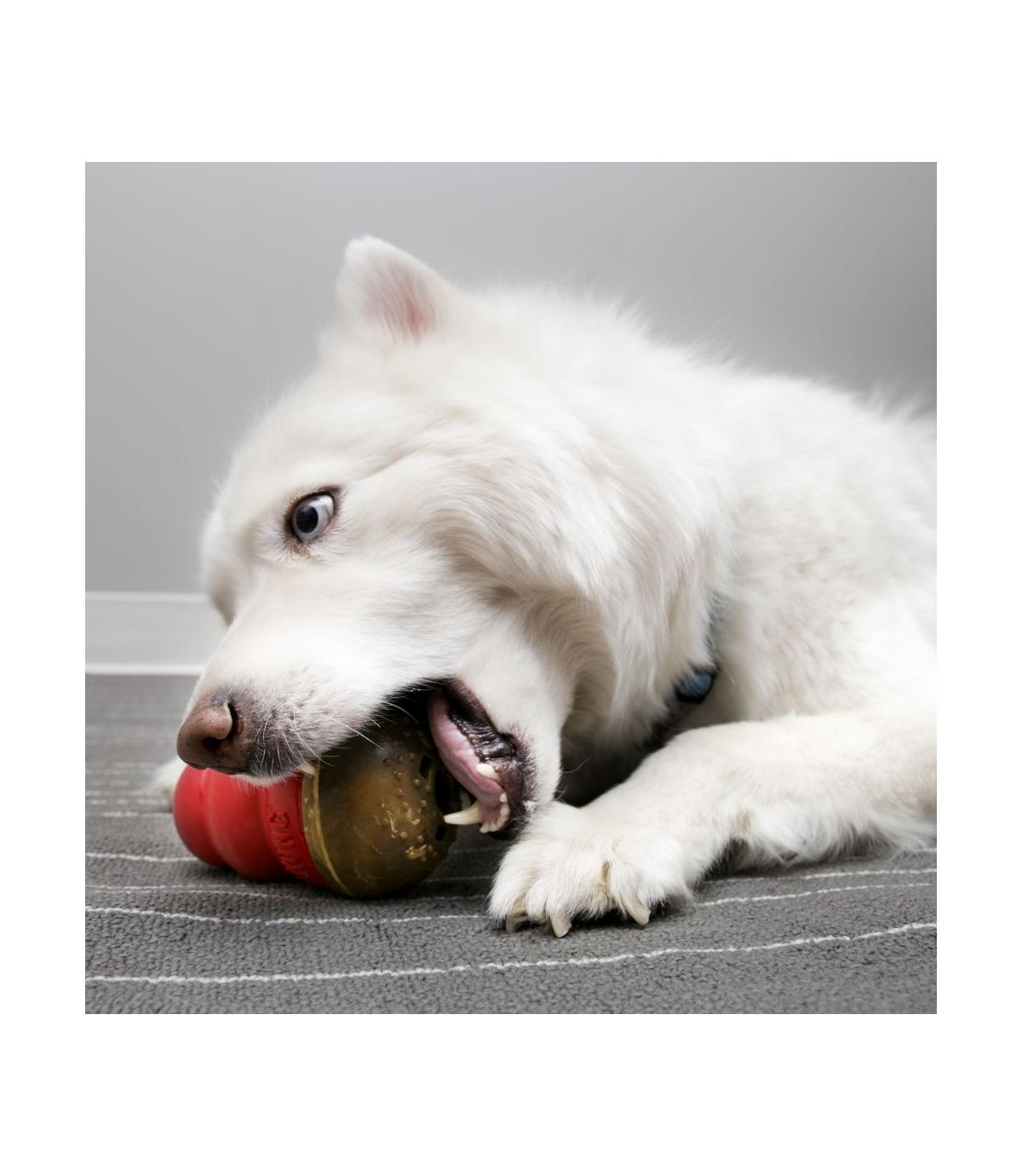 Kong Marathon L Peanut Butter