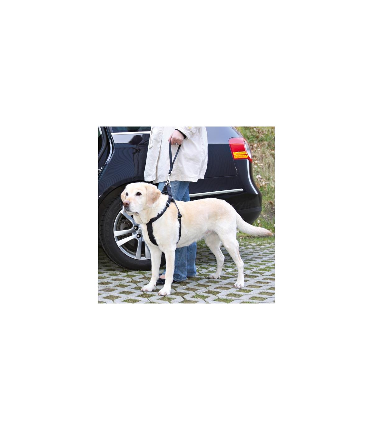 Smycz z taśmy - 27 cm / 45 mm