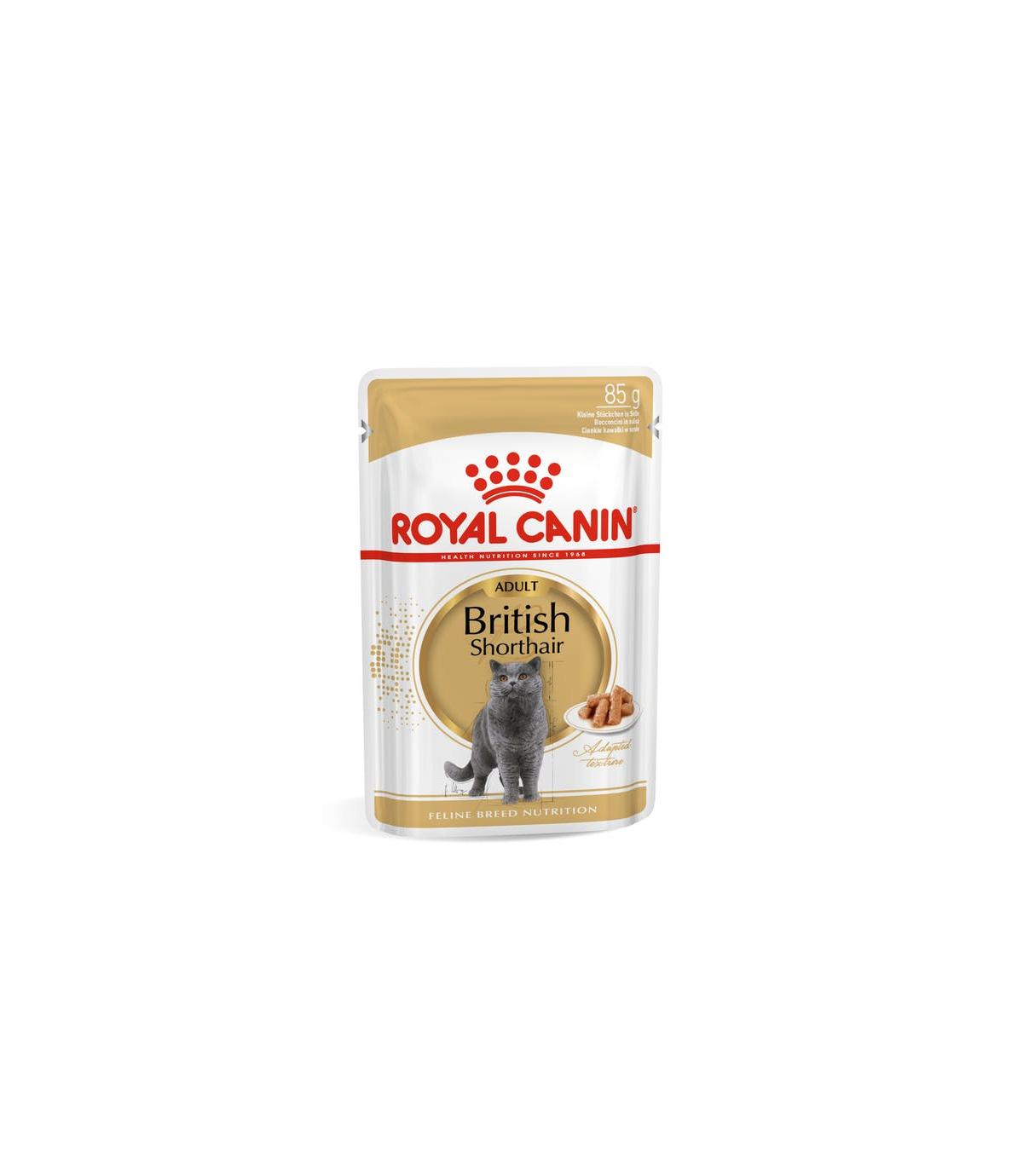 Royal Canin British Shorthair - 12x85g
