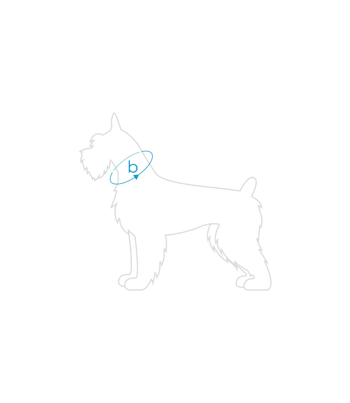 Obroża regulowana BeHappy M