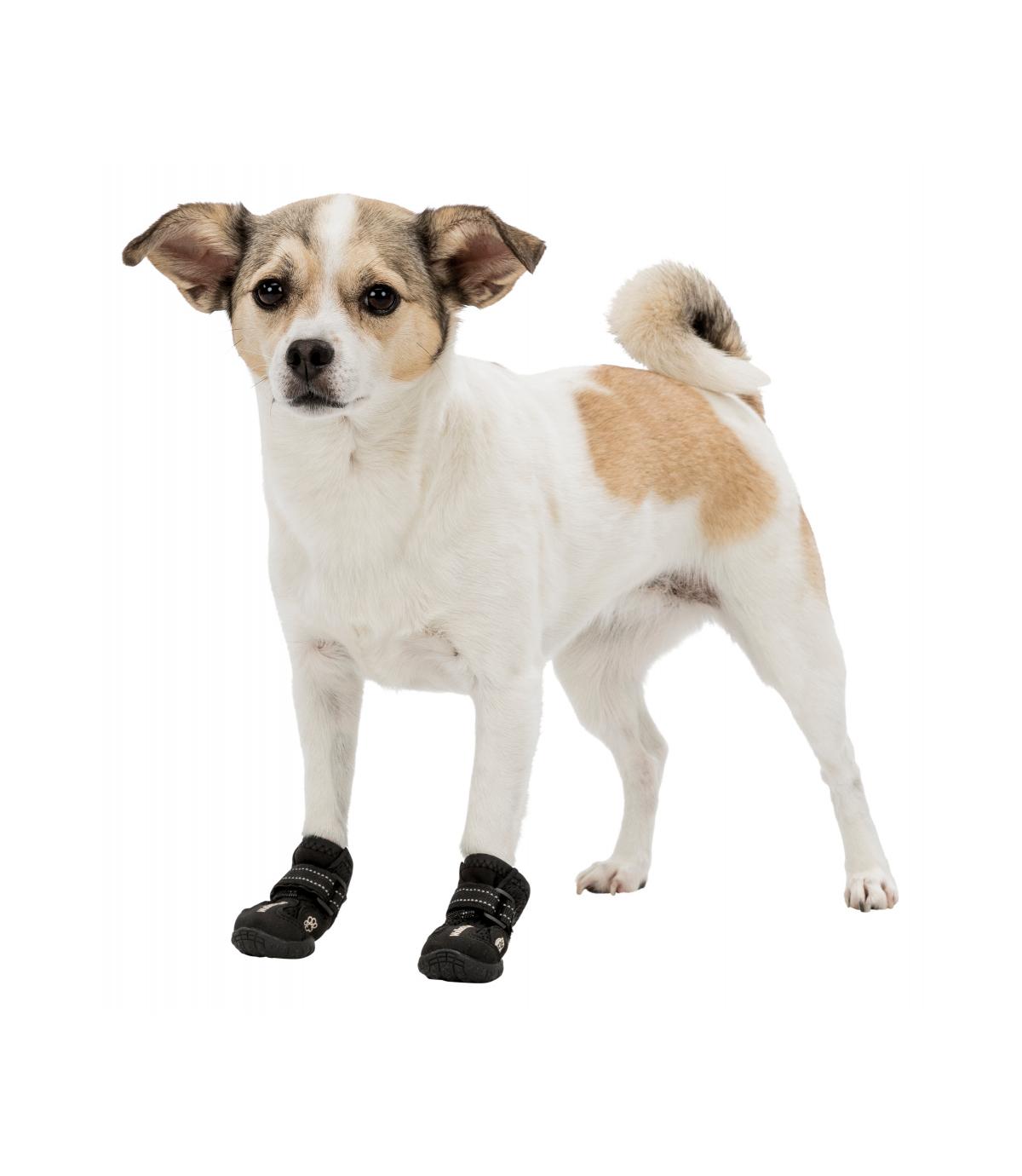 Buty ochronne Walker Active XS-S