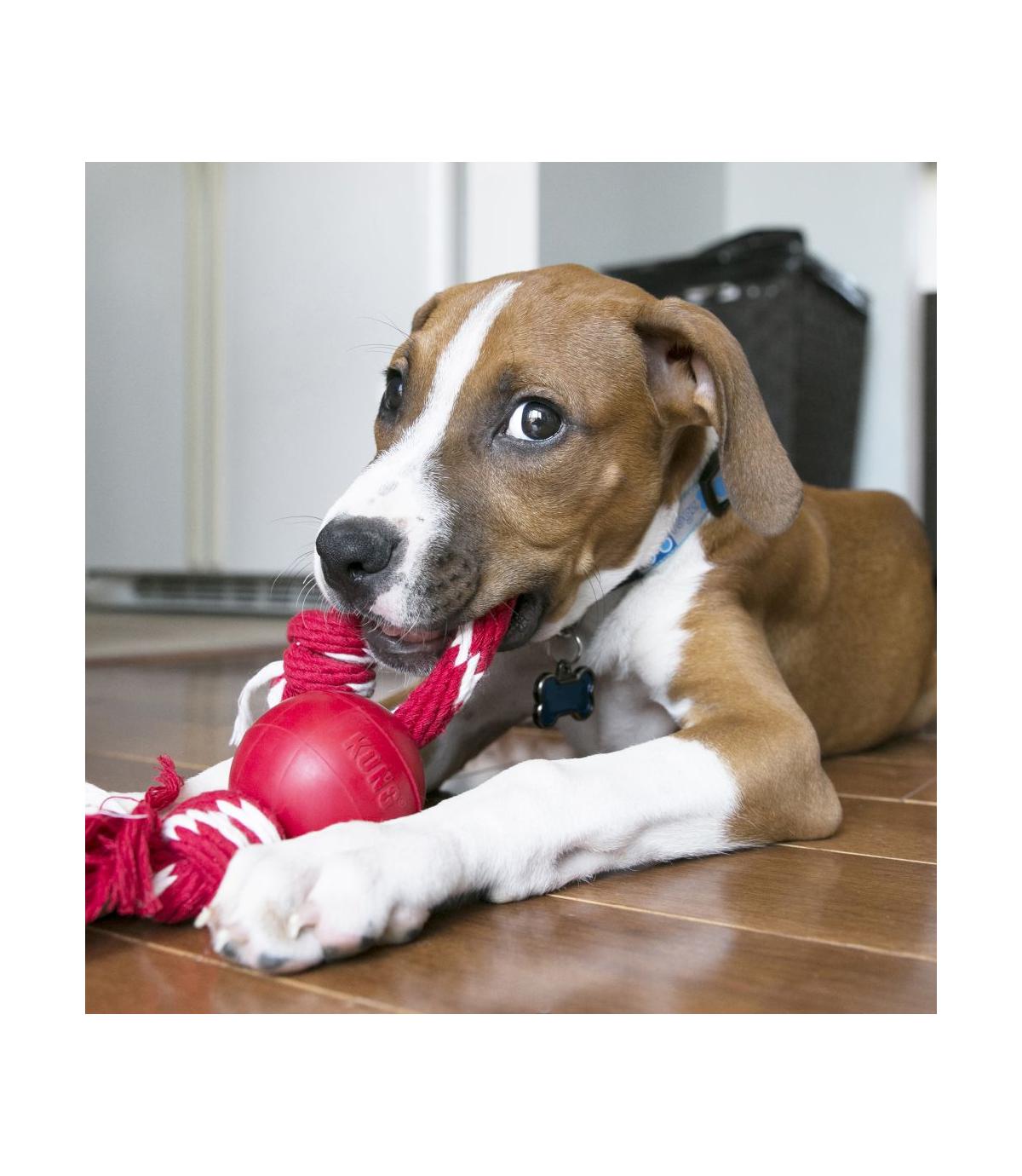 Ball with Rope S Kong