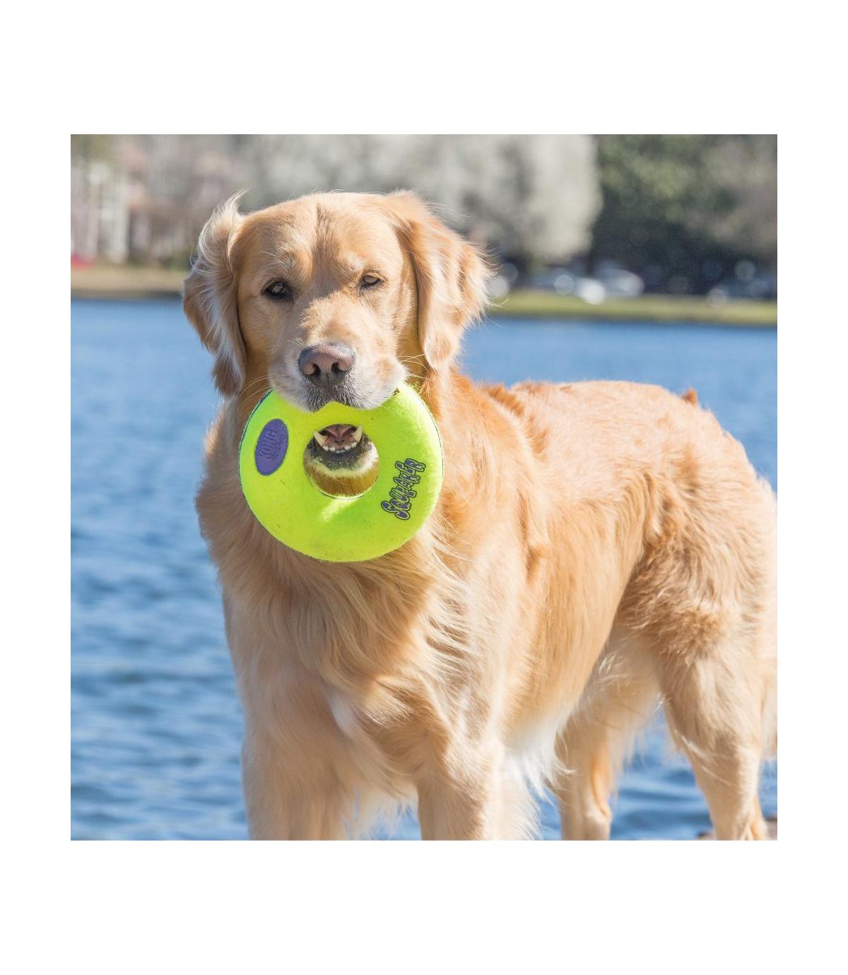 Airdog Squeaker Donut M Kong