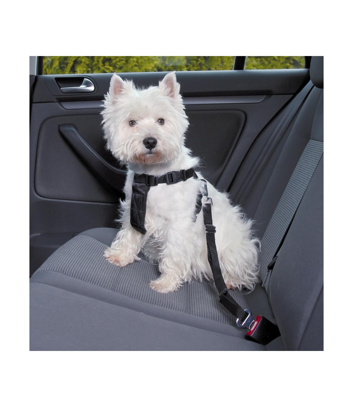 Szelki samochodowe - pasy dla psa - rozmiar S