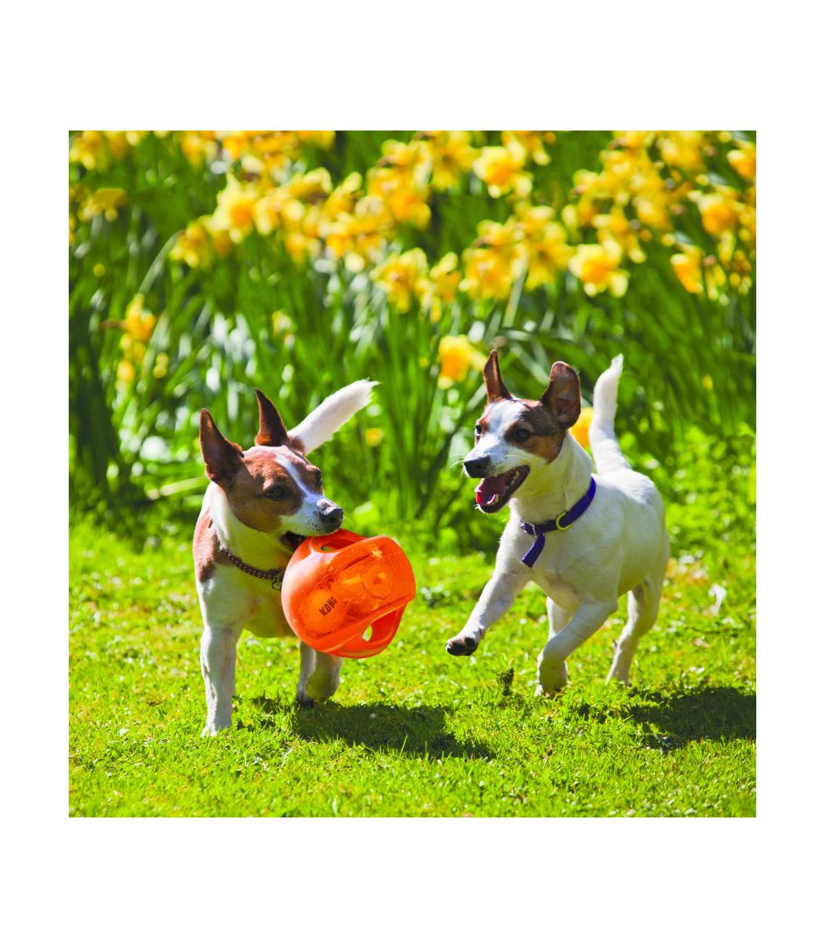 Jumbler Ball L/XL Kong