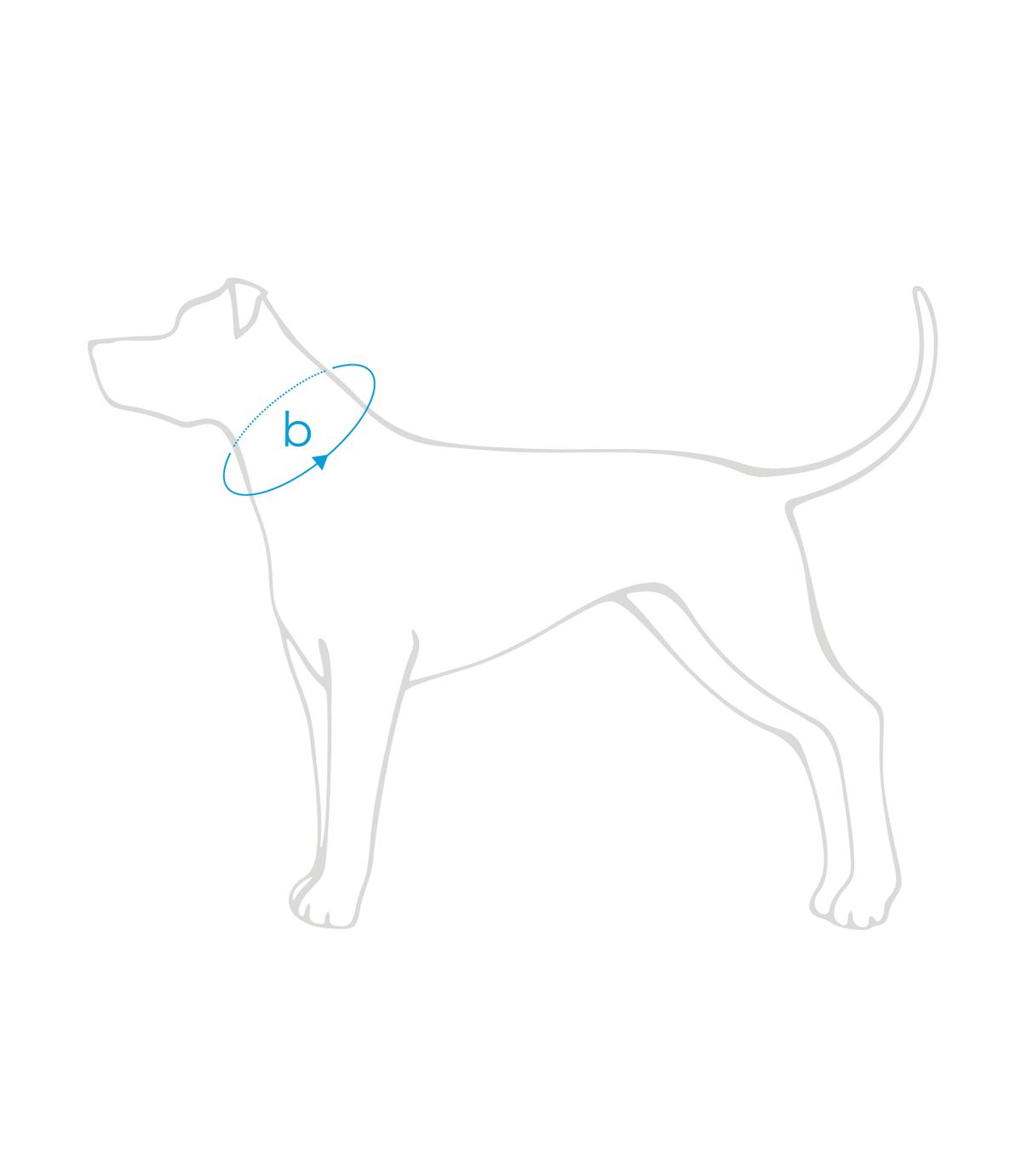 Obroża regulowana Samba XL