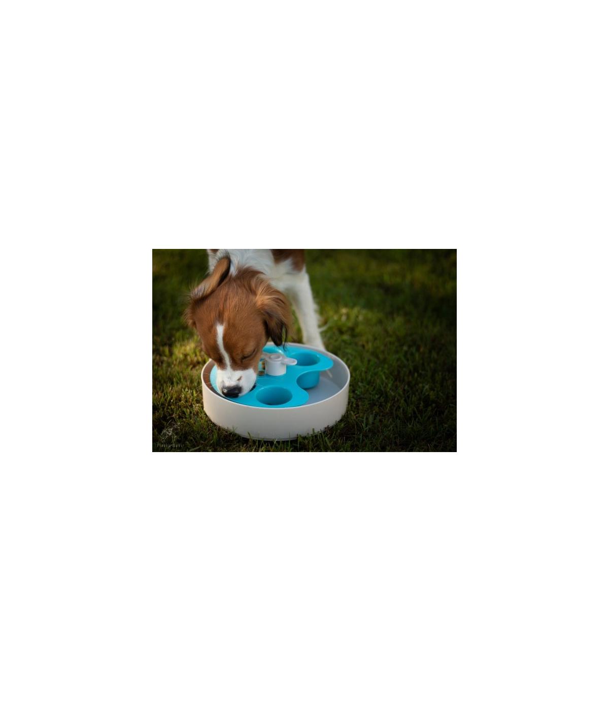 Spin Interaktywna miska Palette