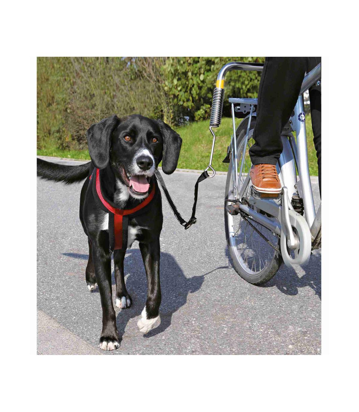 Zestaw rowerowy - uchwyt + smycz