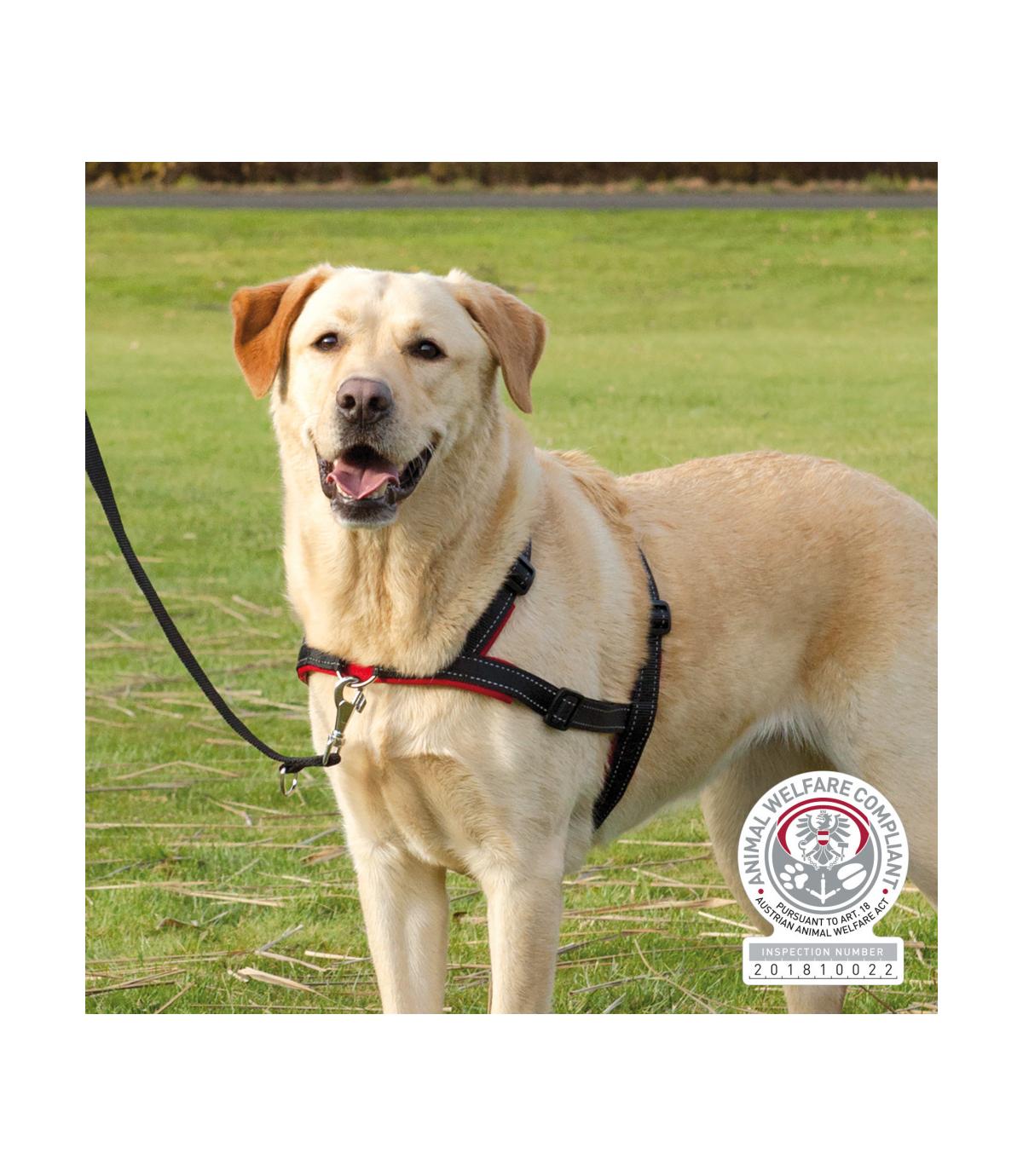 Szelki treningowe Lead'n'Walk Soft S-M