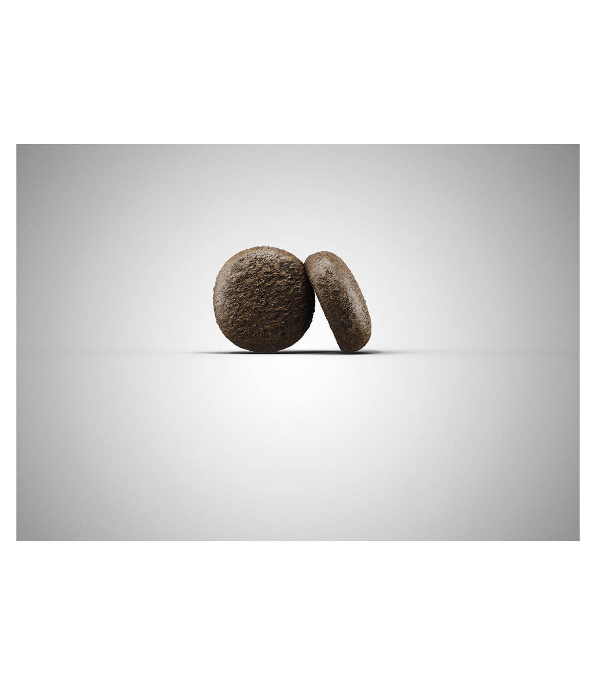 Josera Festival 12,5kg