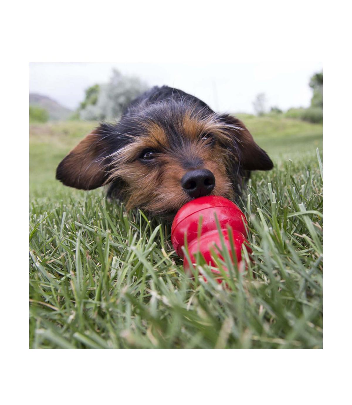 Easy Treat Liver 226g Kong