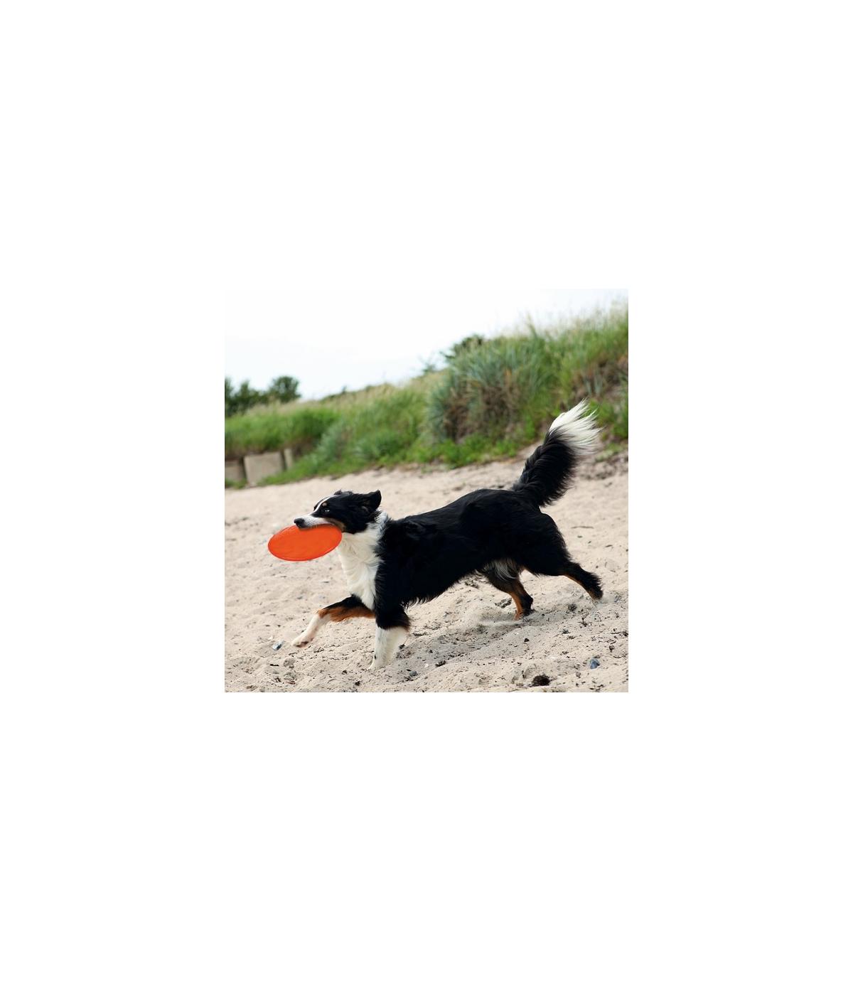 Frisbee "Dog Disc" - 18cm