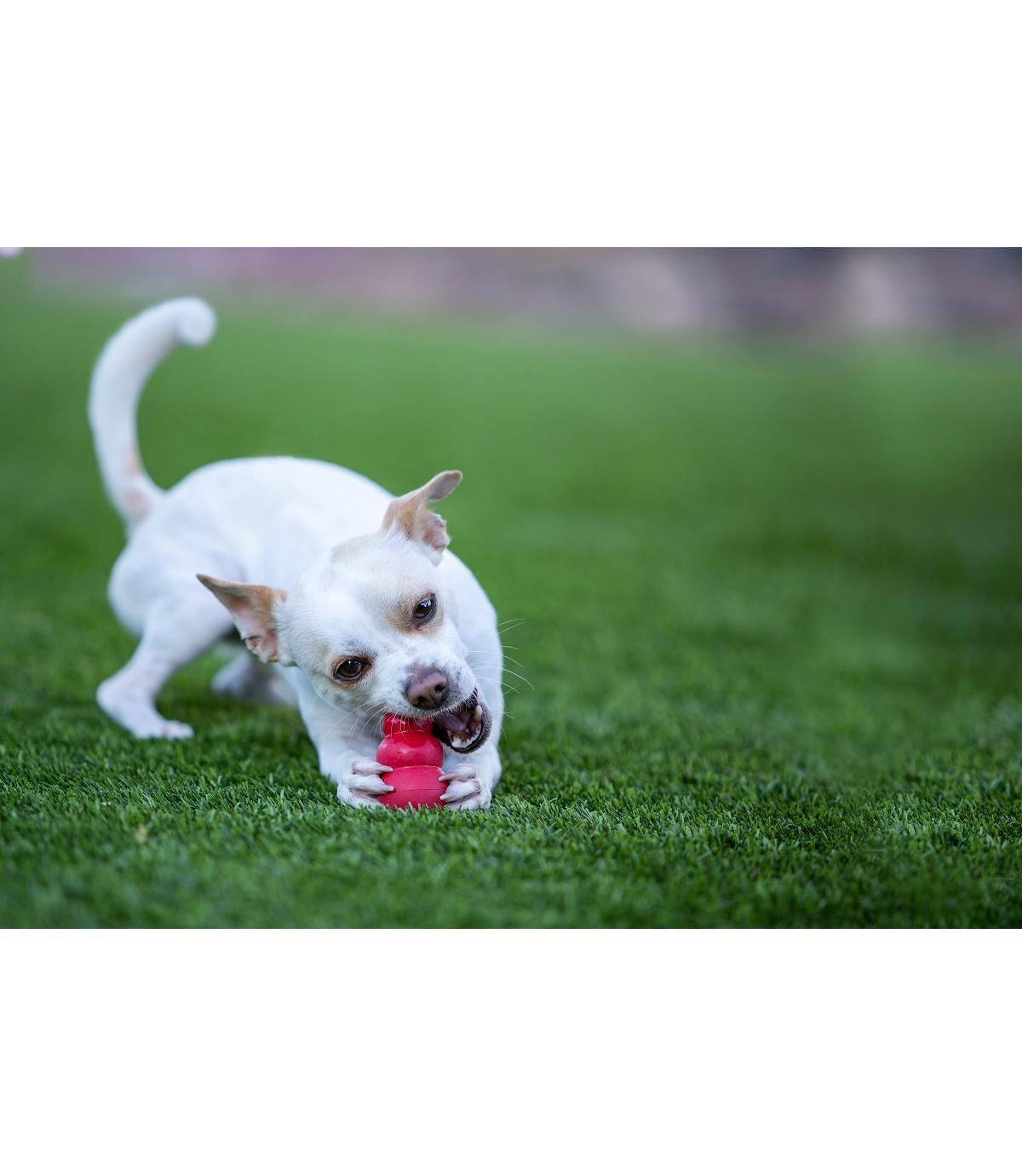 Snacks Liver S 200g Kong