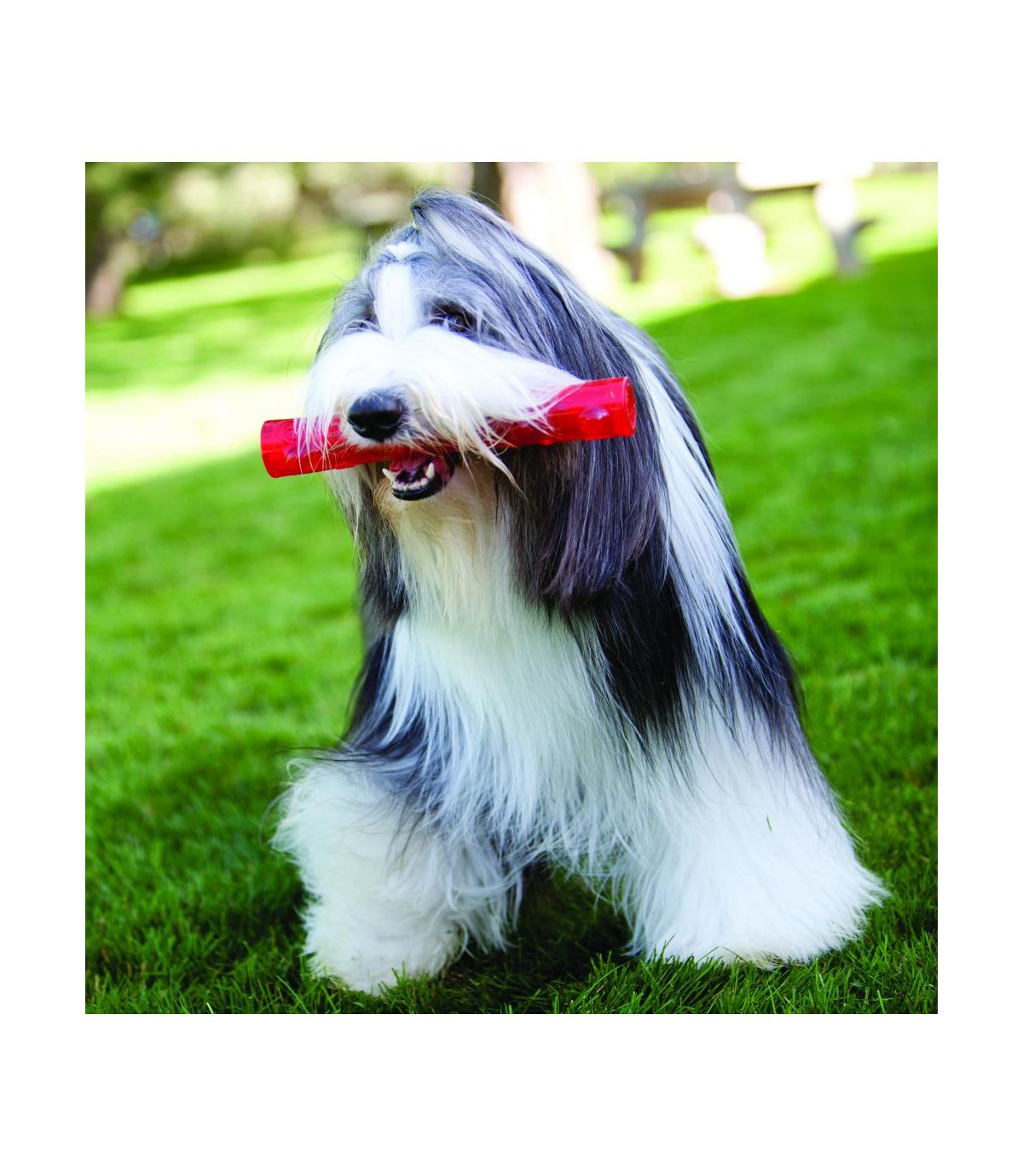 Squeezz Stick M Kong