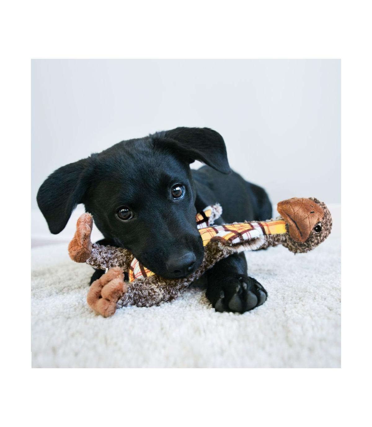 Shakers Luvs Bird L Kong