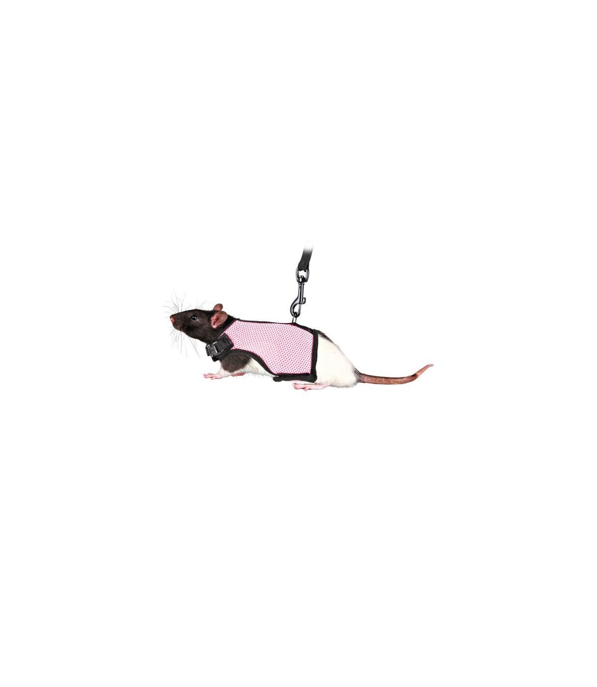 Szelki i smycz dla szczurka