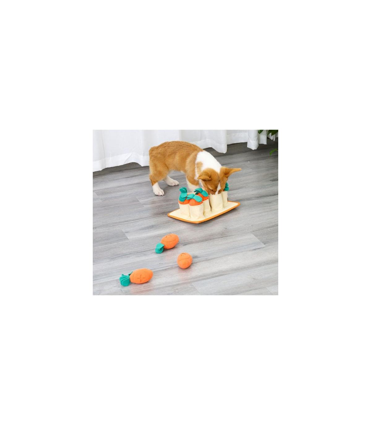 Marchewkowe pole - zabawka węchowa