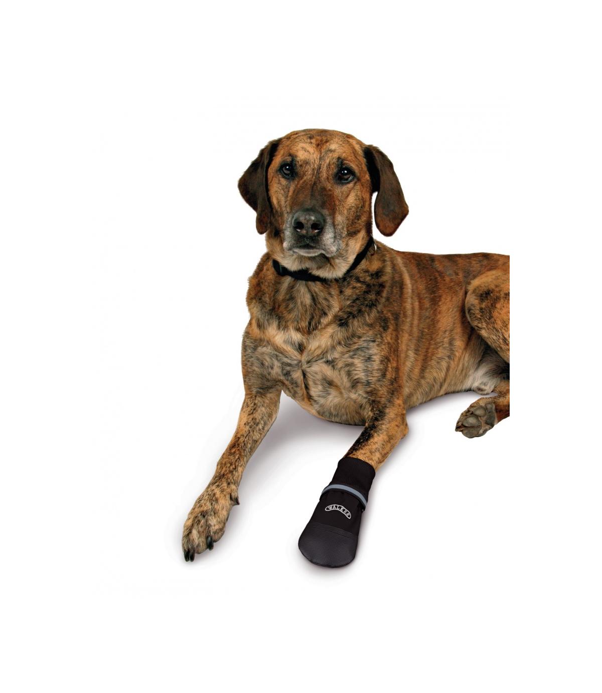 Buty dla psa "Walker Professional" - rozmiar XXXL