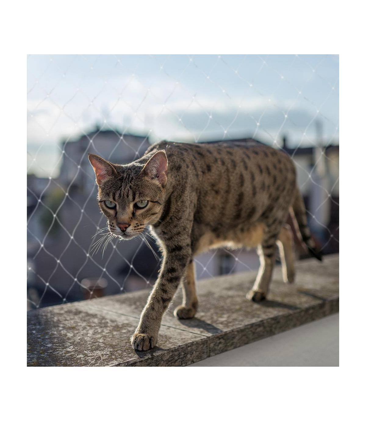 DUVO+ Siatka zabezpieczająca przeźroczysta 3x2m