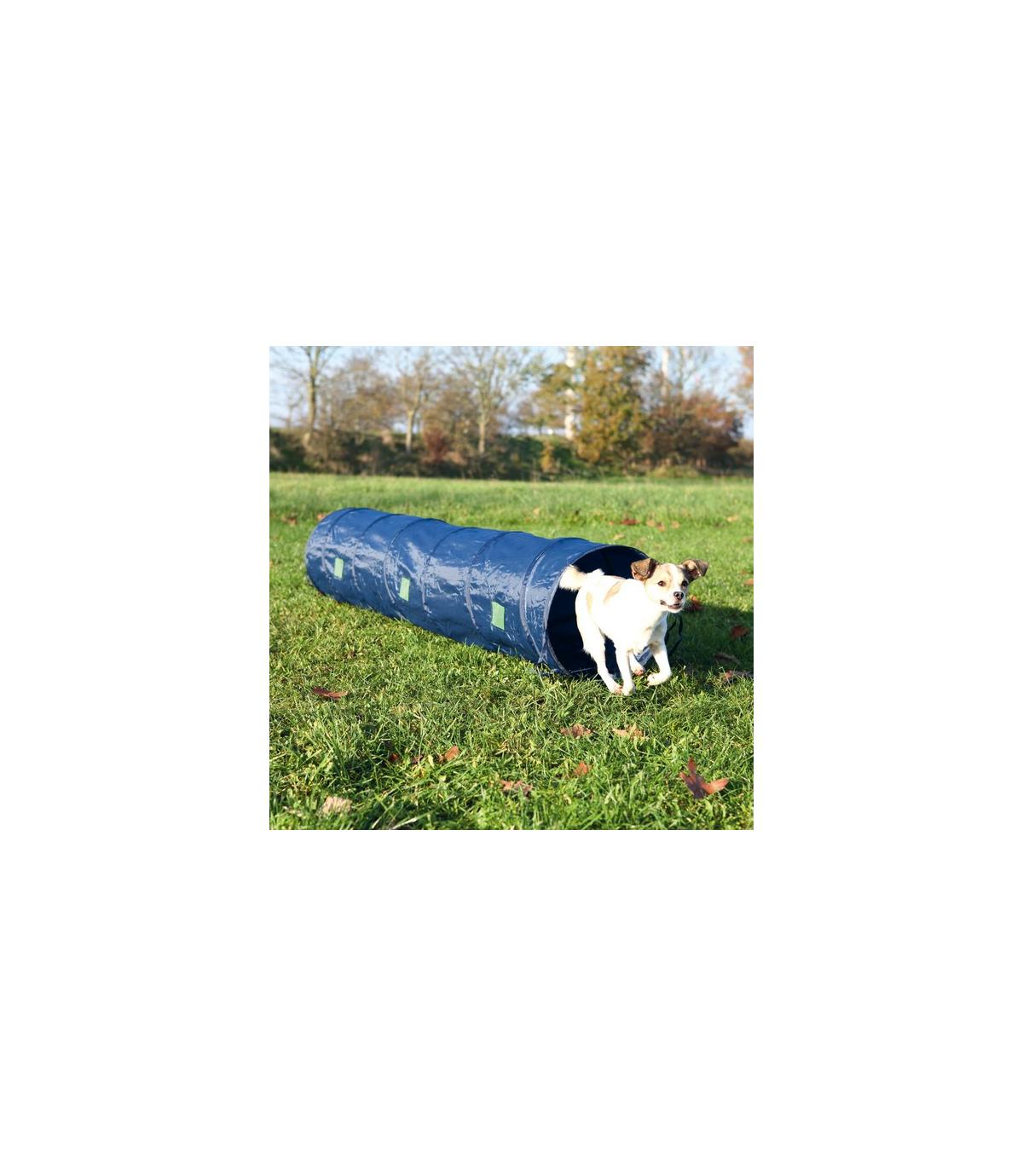 Tunel sztywny Agility - 40cm/2m