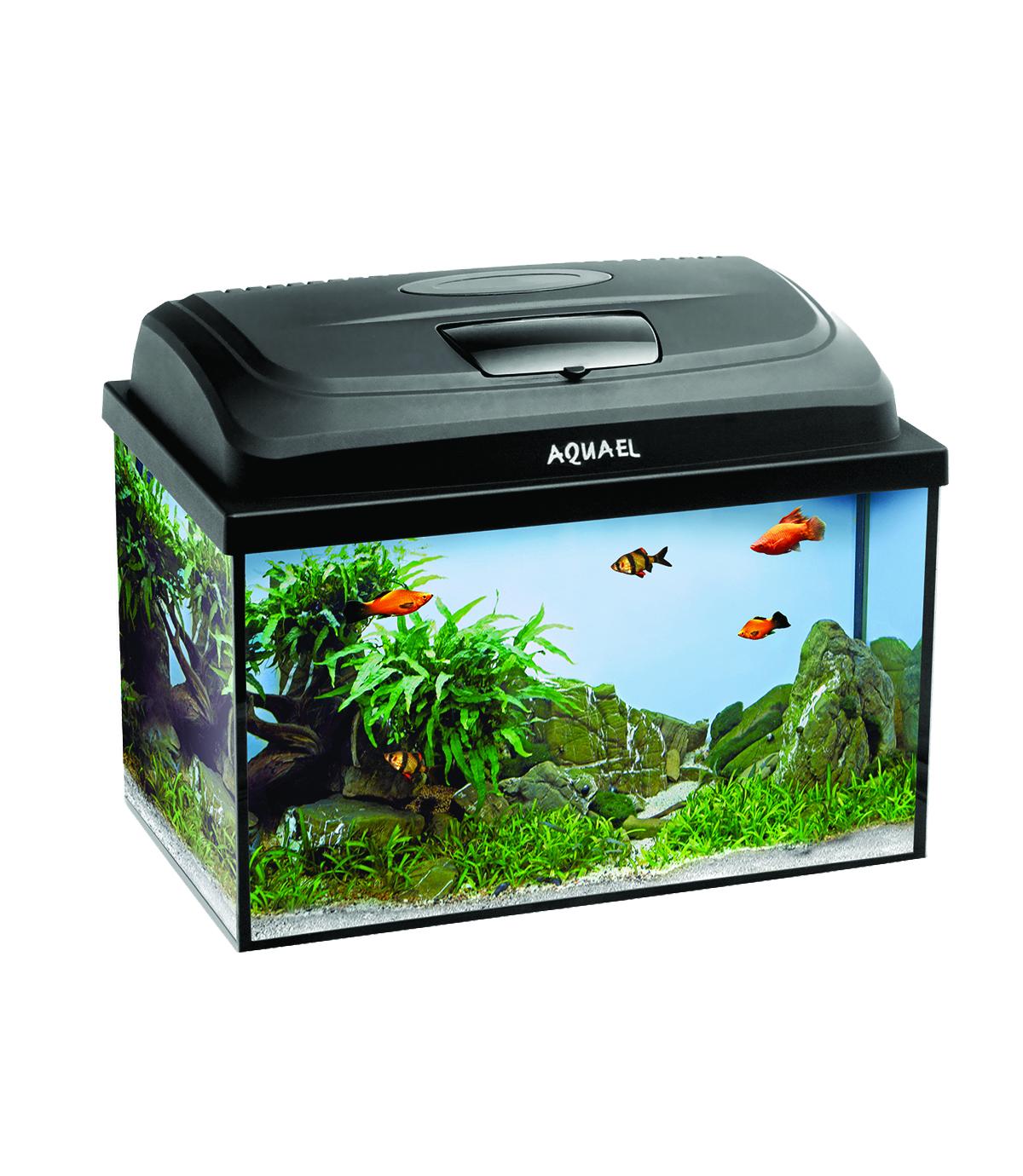 Zestaw akwariowy Aqua4Kids REC 25l