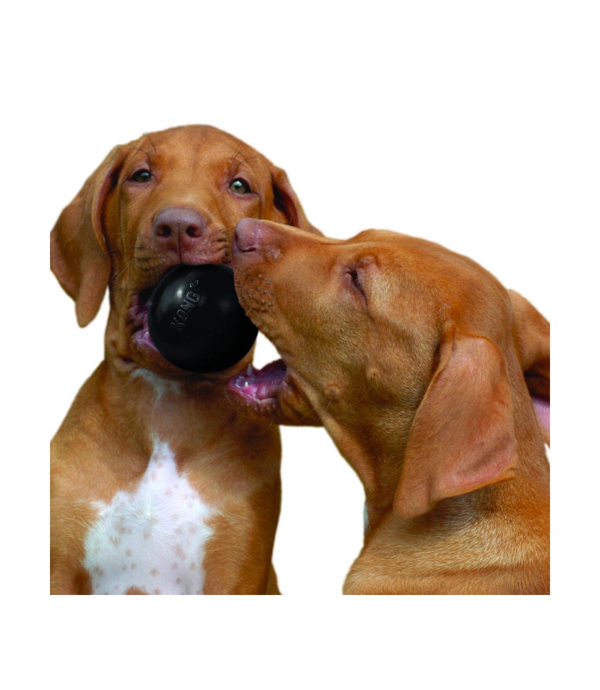 Extreme Ball M/L Kong