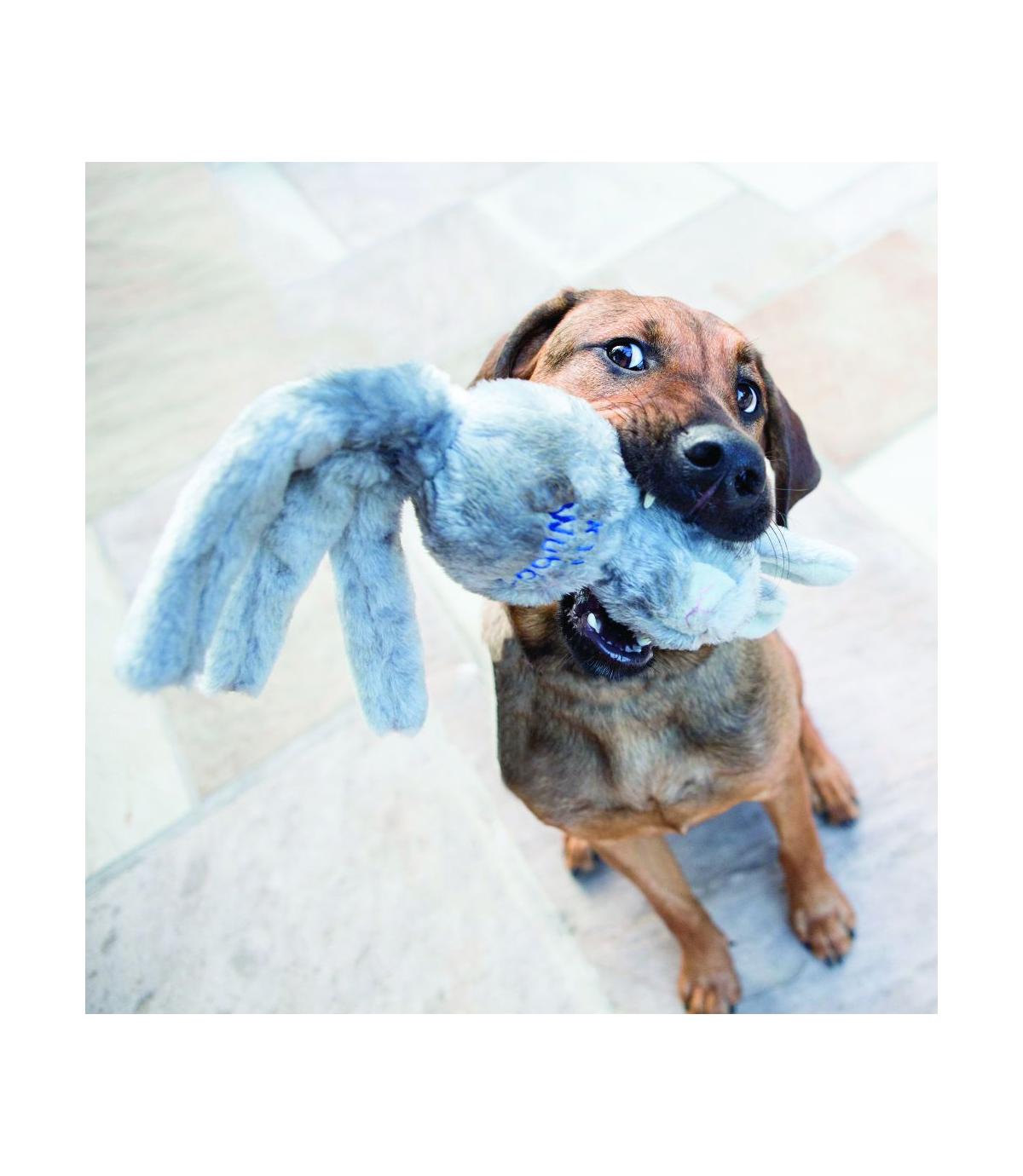 Wubba Friends L Kong