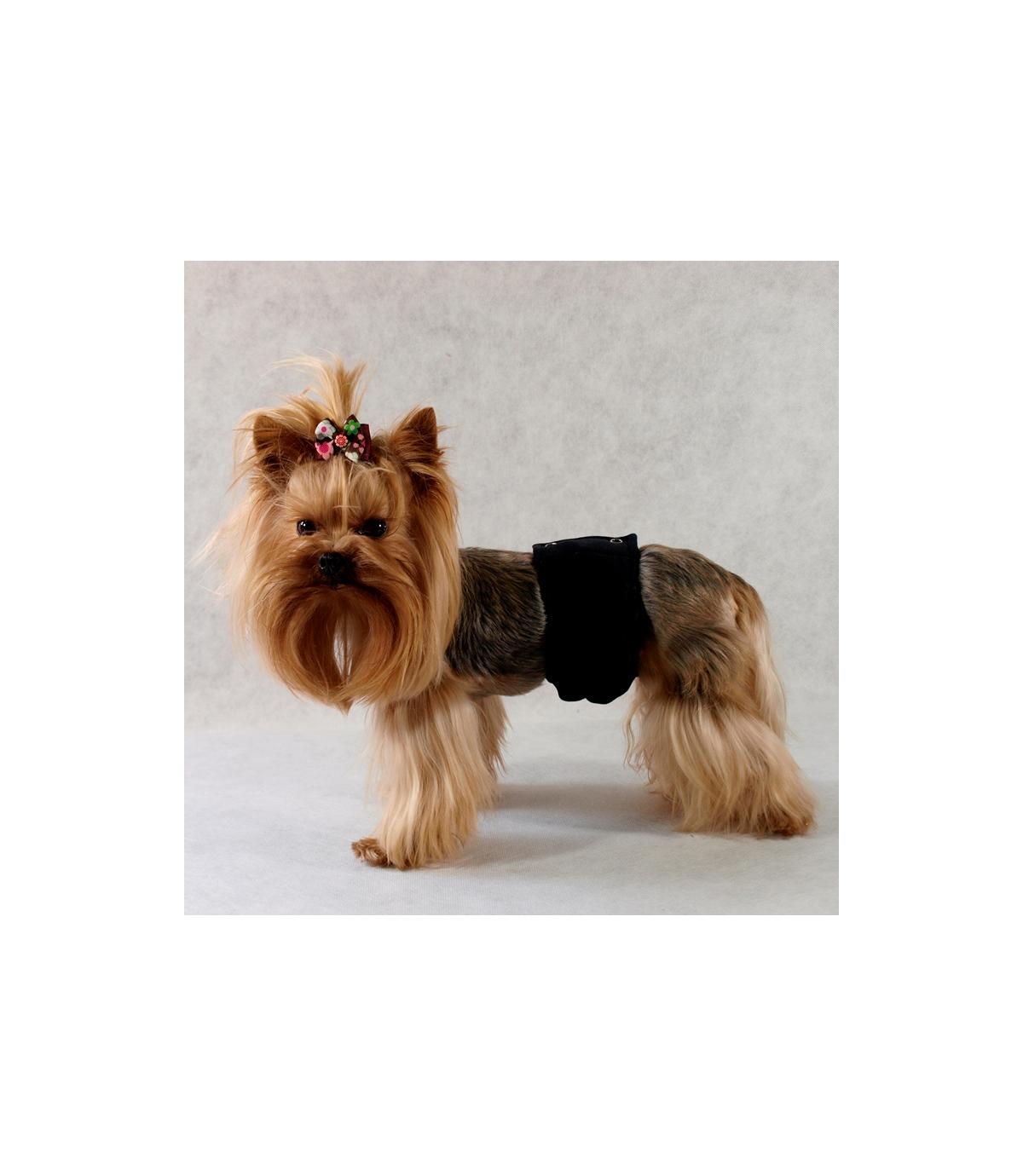 Majtki dla samców Pampas - 2 (XS)