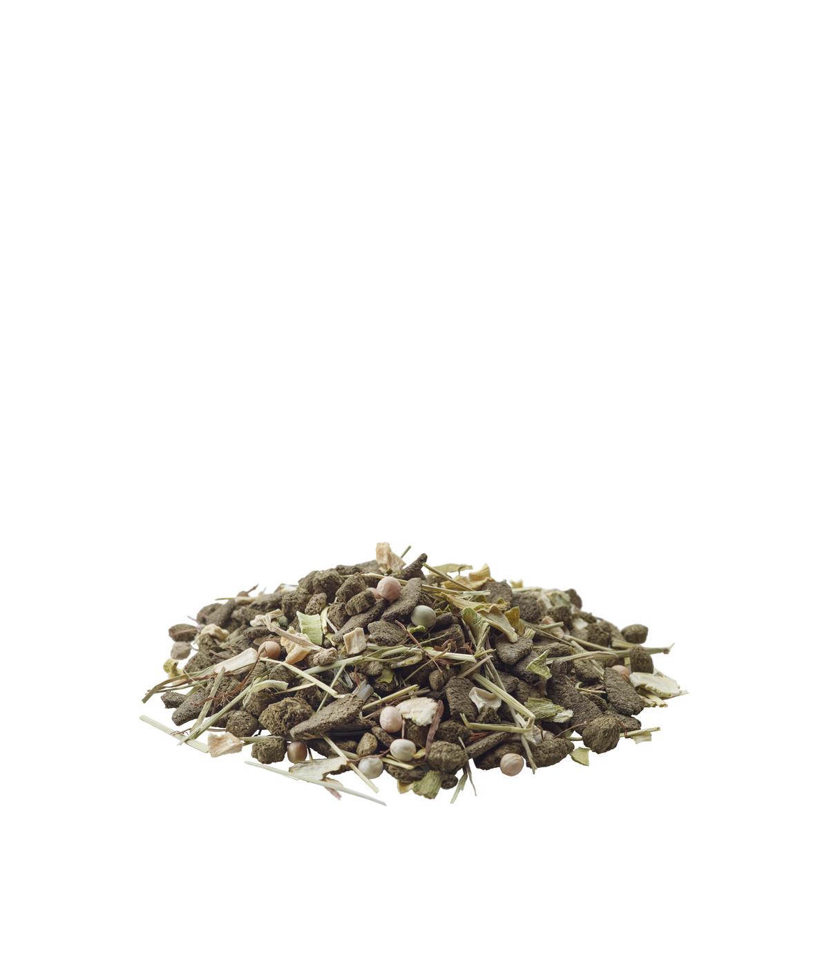 Versele-Laga Nature Degu 700g