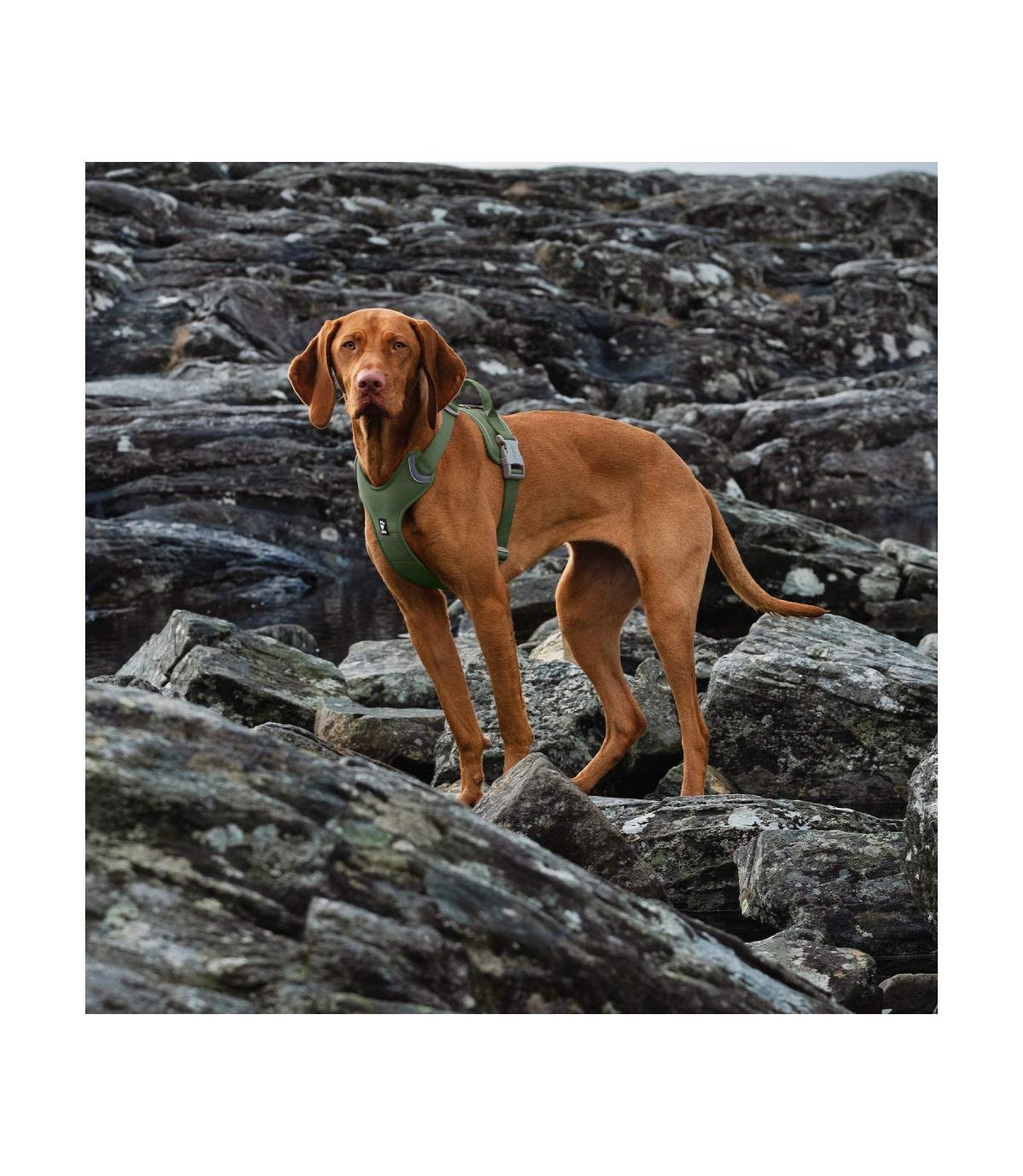 Szelki Hurtta Weekend Warrior Harness Eco 40-45cm