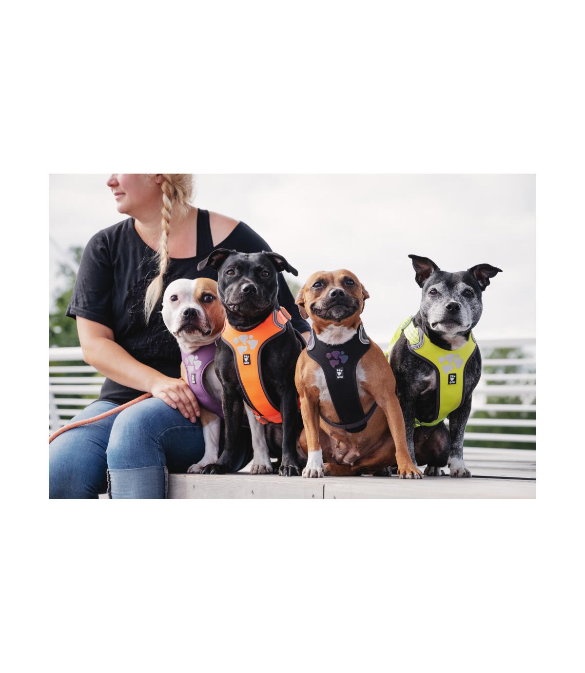 Szelki Hurtta Weekend Warrior Harness 45-60cm