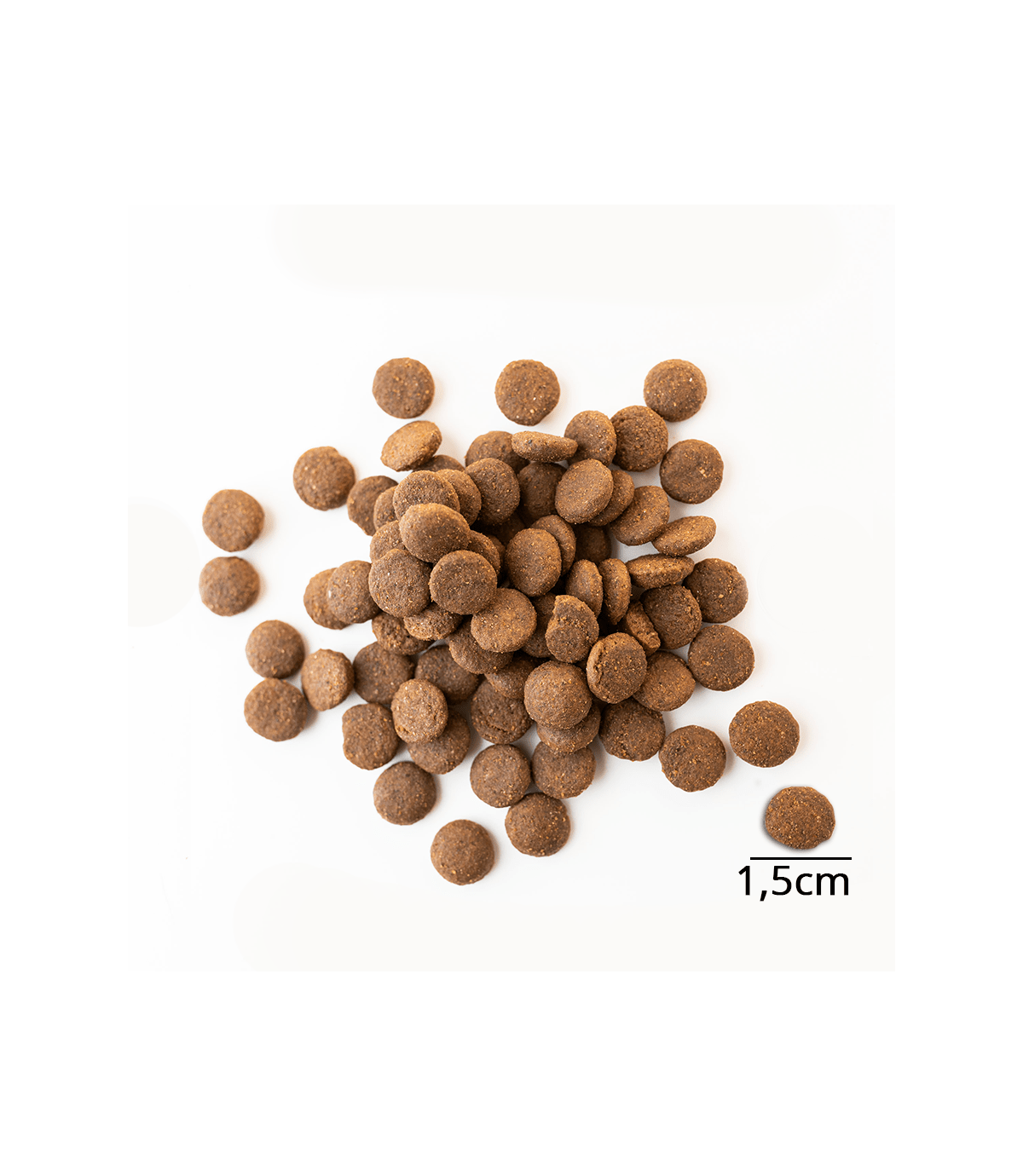 Baltica Junior Smaki Regionów Indyk z kaczką 12kg