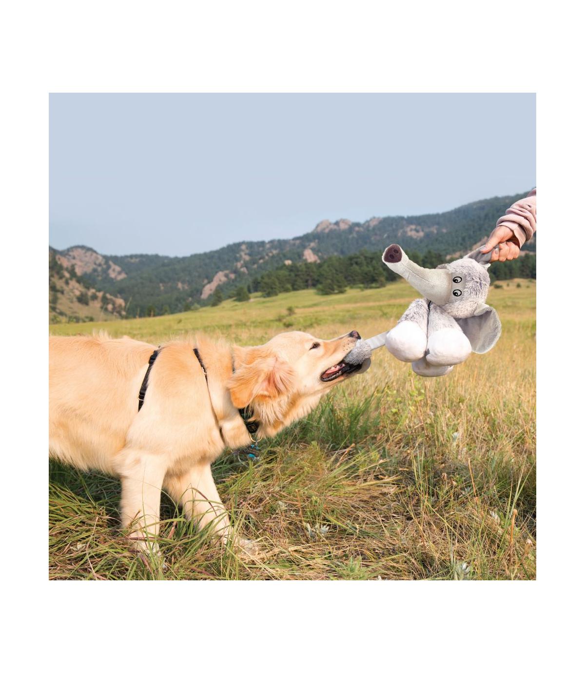 Stretchezz Legz Elephant S Kong