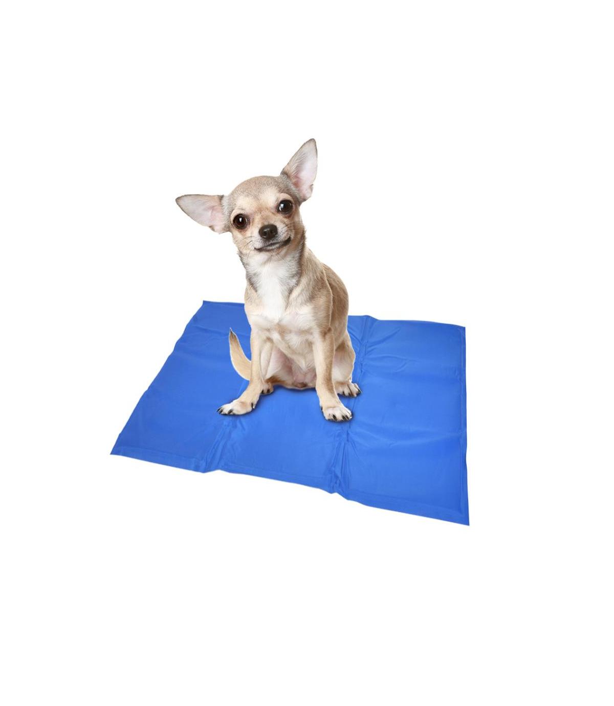 Mata chłodząca 65x50 cm