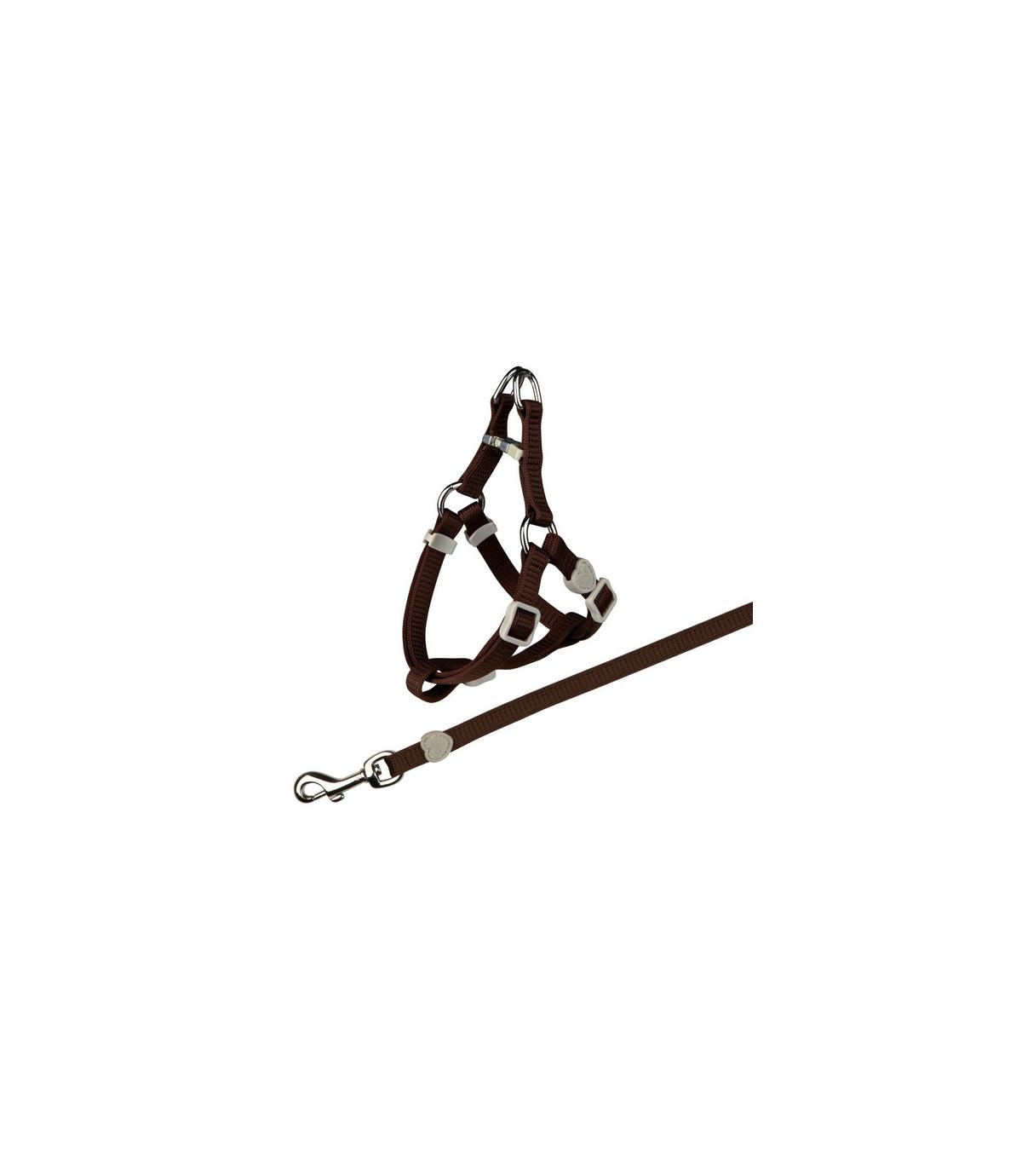 Komplet dla kota - 26-37cm/10mm