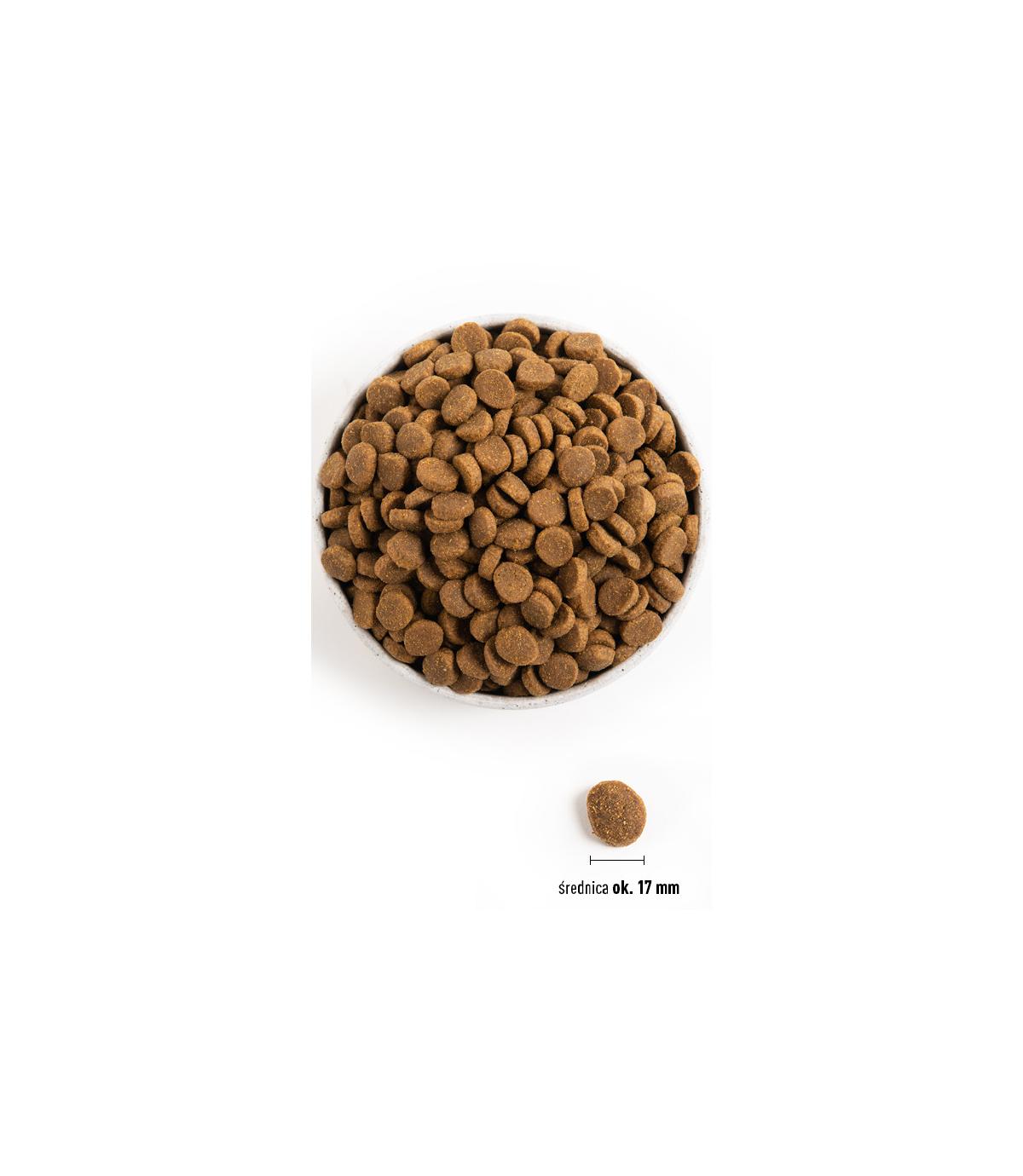 Acana Adult Large Breed 17kg