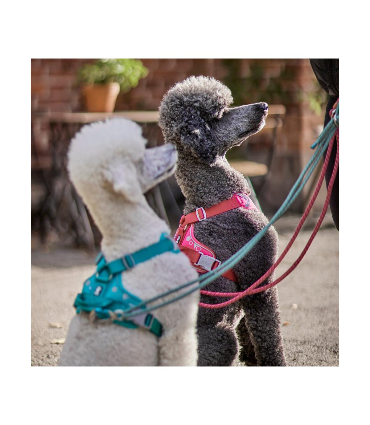 Szelki Hurtta Weekend Warrior Harness 60-80cm