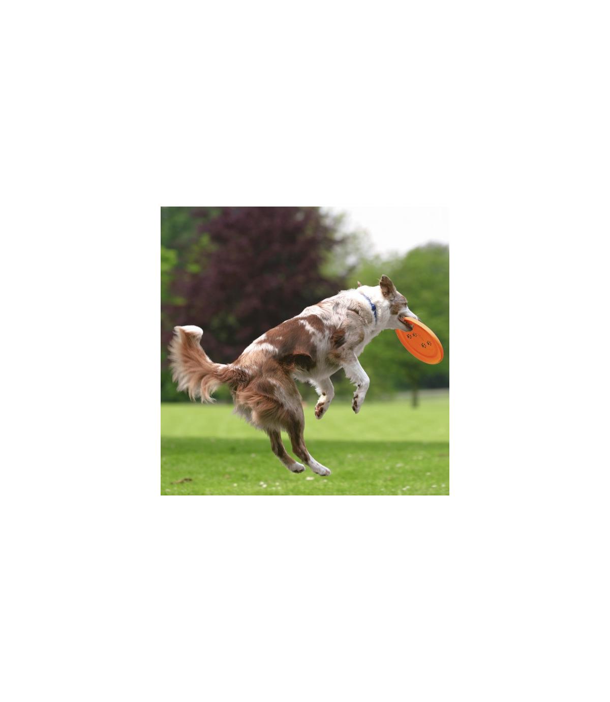 Frisbee "Dog Activity" - 23cm