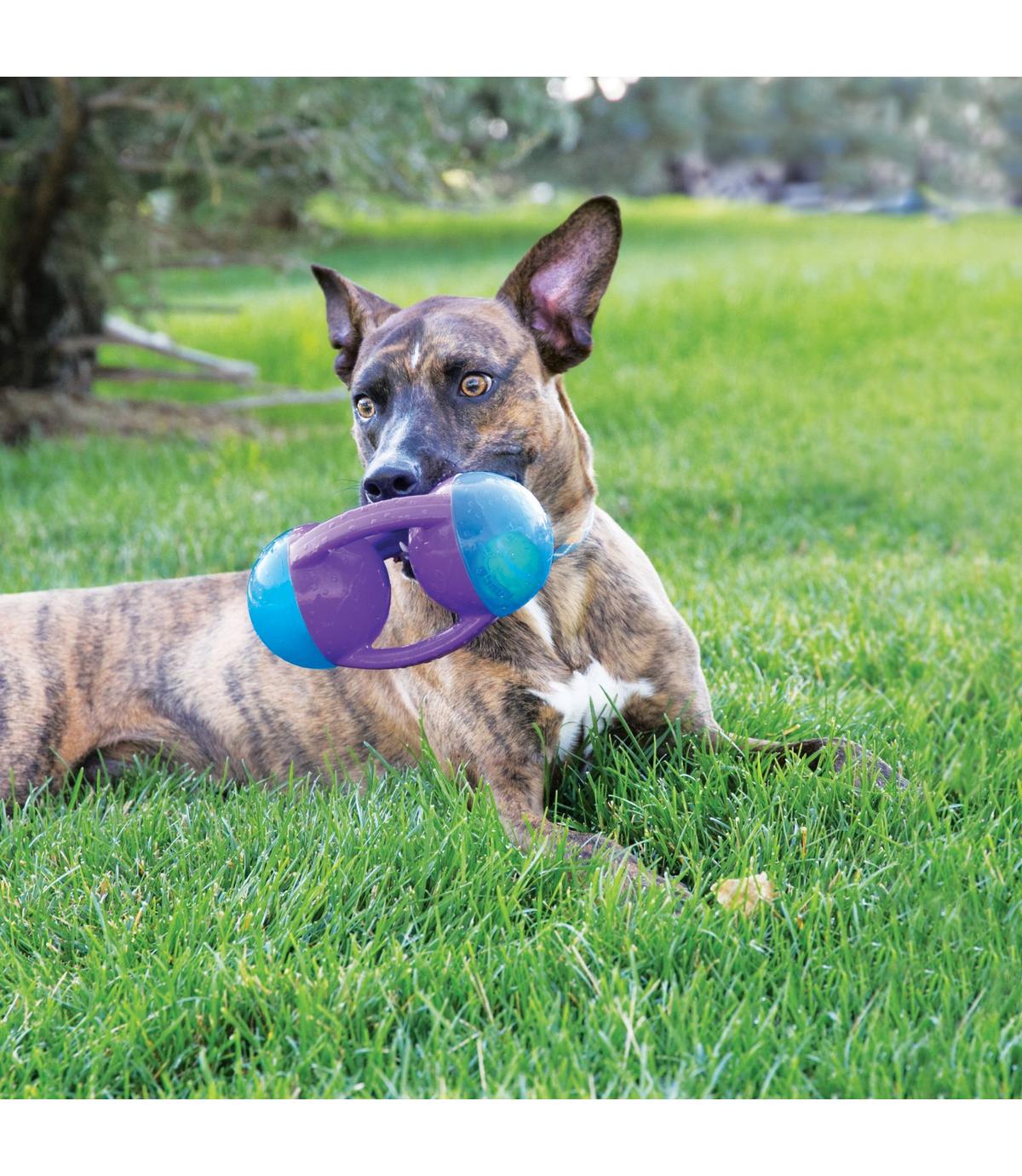 Jumbler Tri L/XL Kong