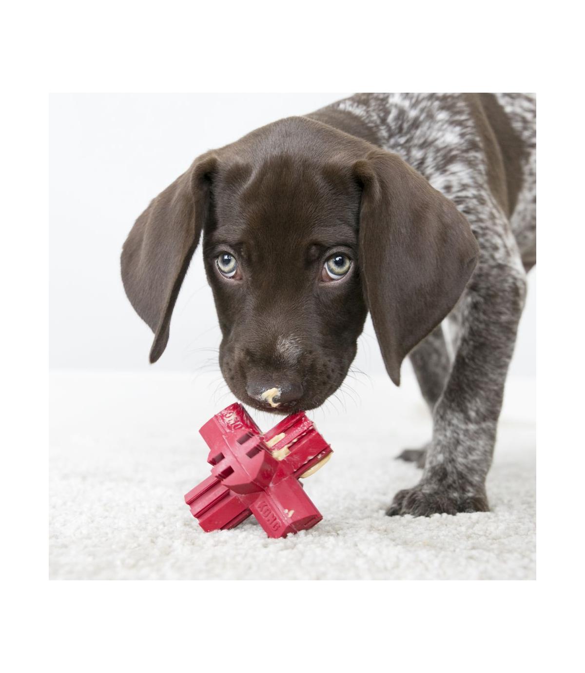 Jump’n Jack M Kong