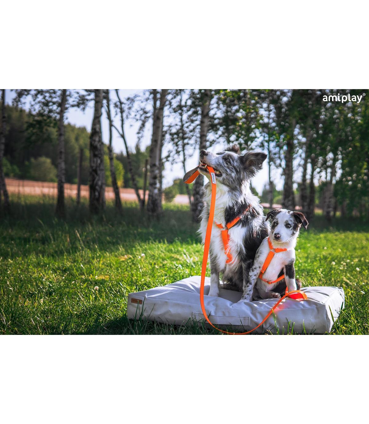 Szelki regulowane Guard Samba XL