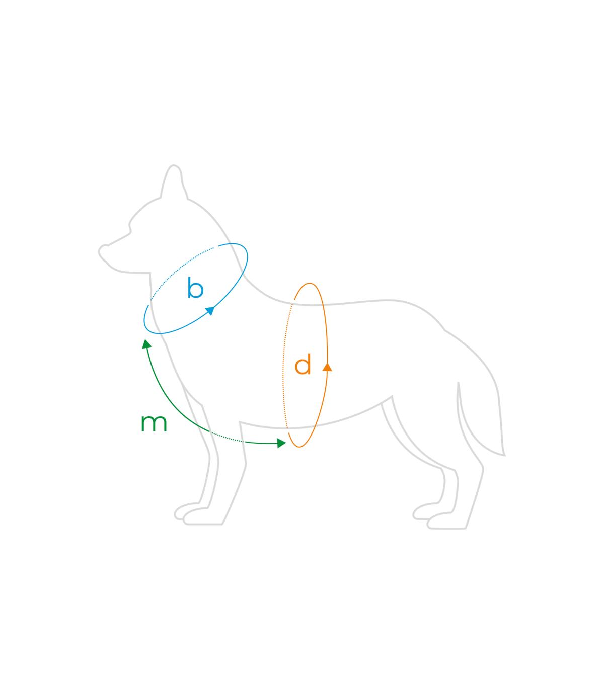 Szelki regulowane Guard Samba L